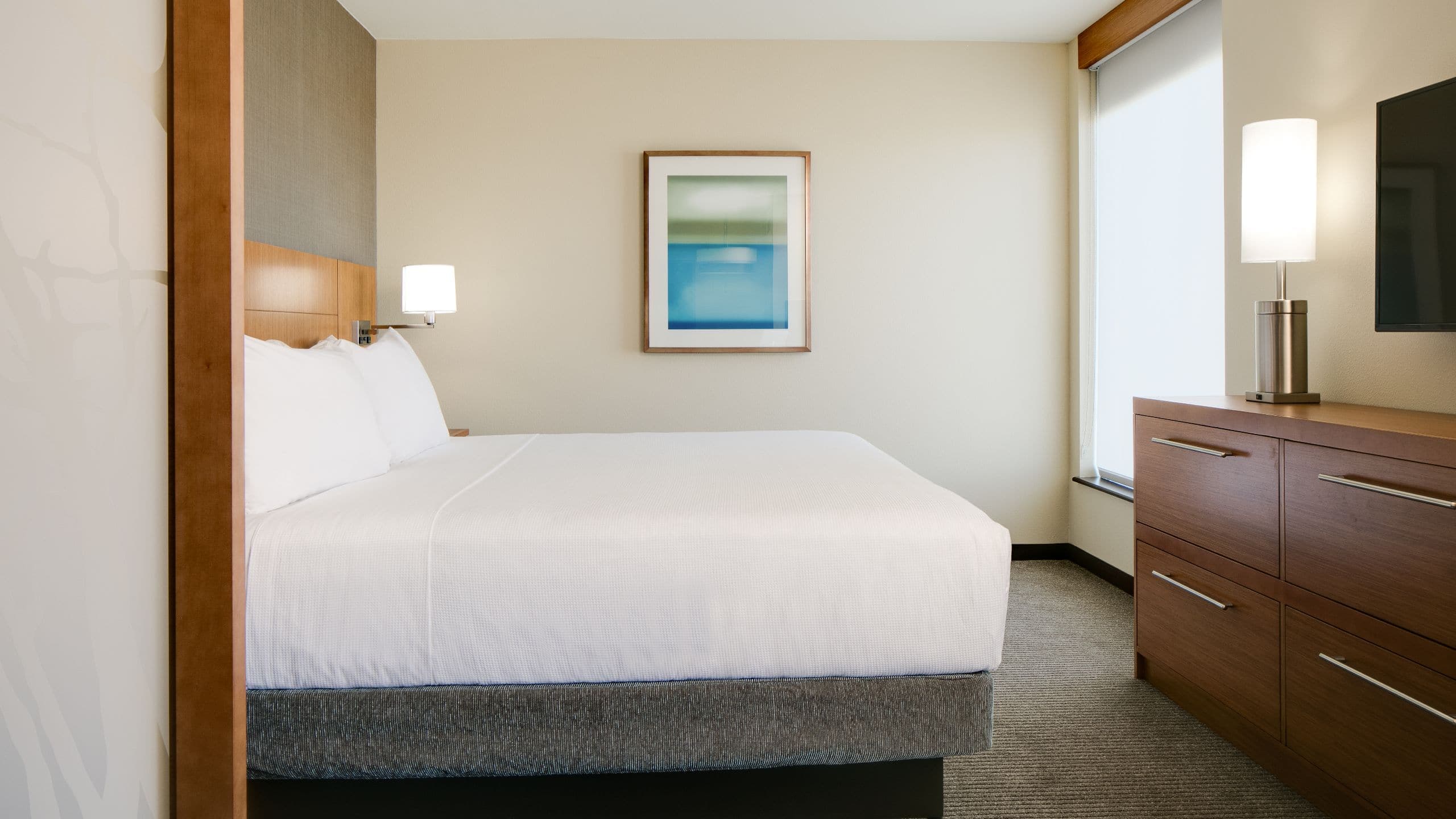 Hyatt Place Kansas City/Lenexa City Center - Image 2