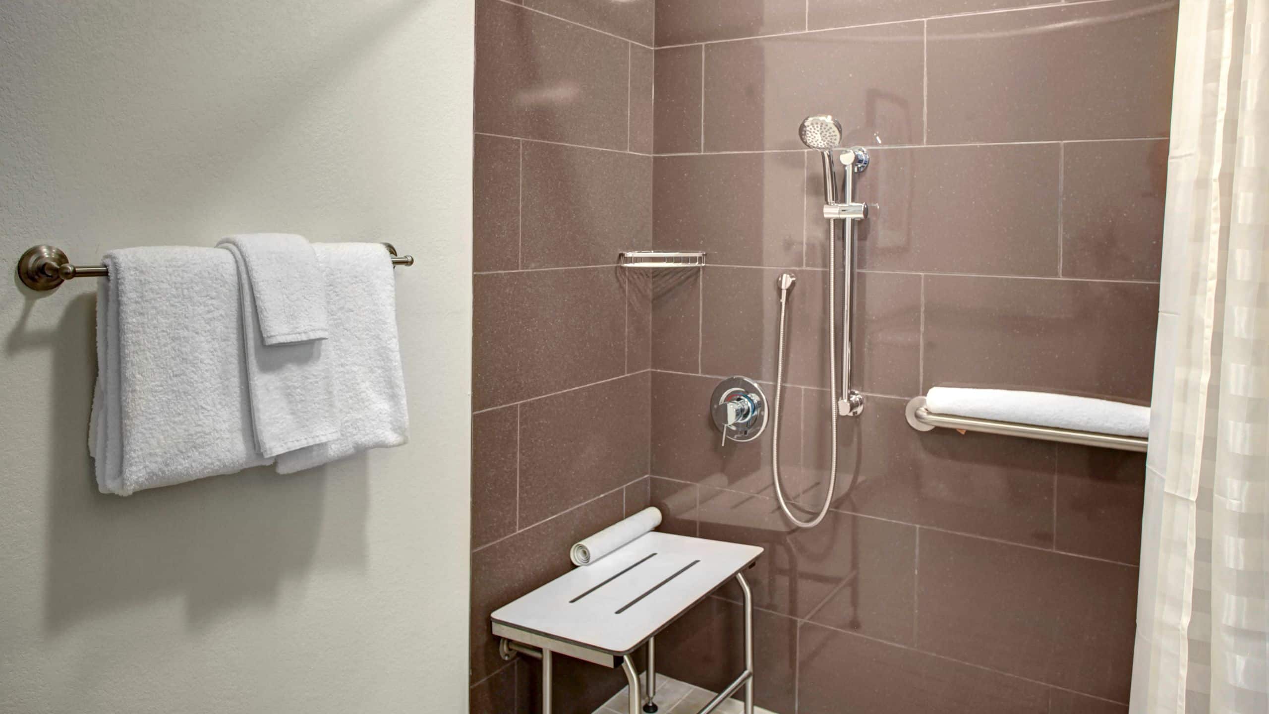Accessible 1 King Suite Roll-in Shower - Image 3