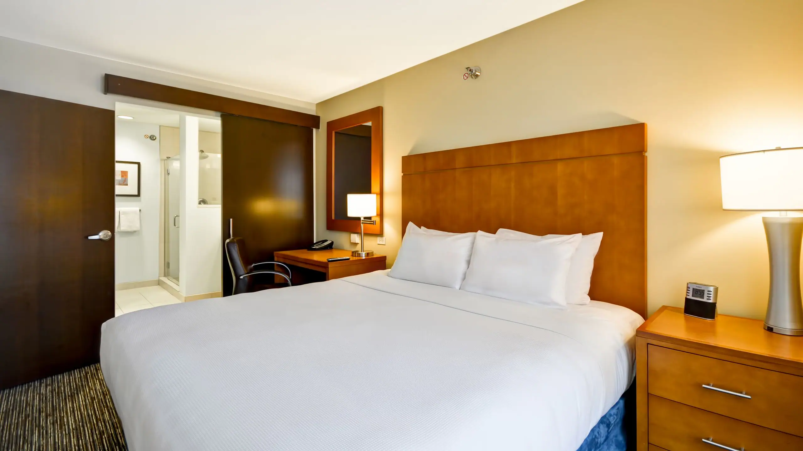 King Studio Suite - Image 1