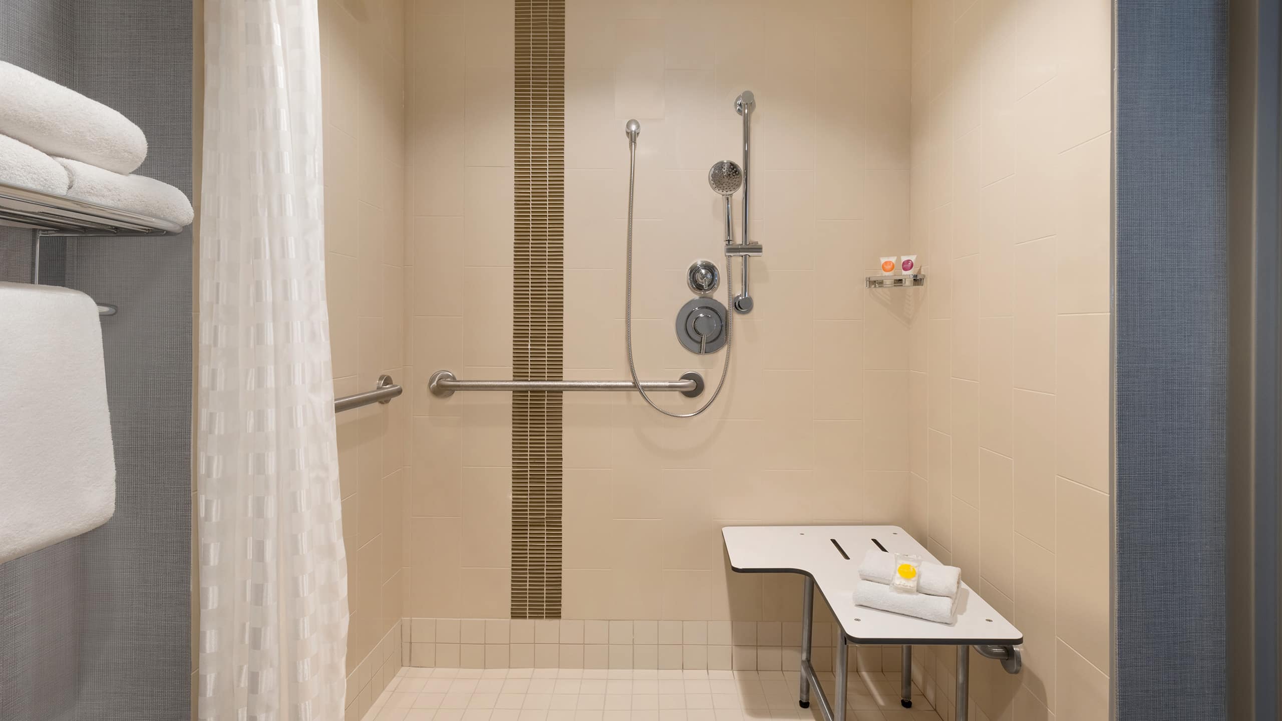 Accessible King Bed/Roll-In Shower (With Sofa) - Image 4