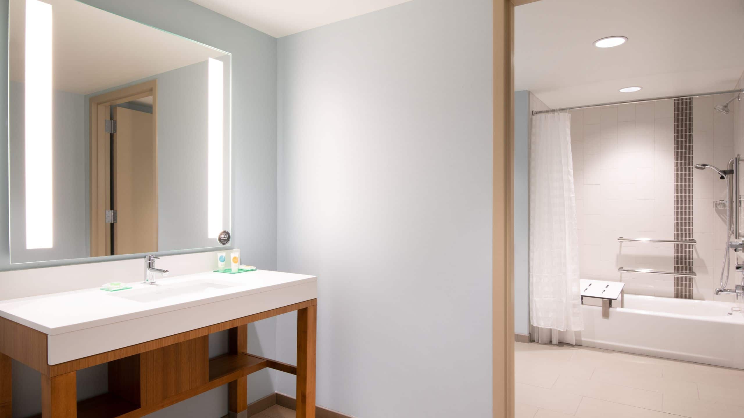 Accessible | King Bed / Tub (plus sofa bed) - Image 3