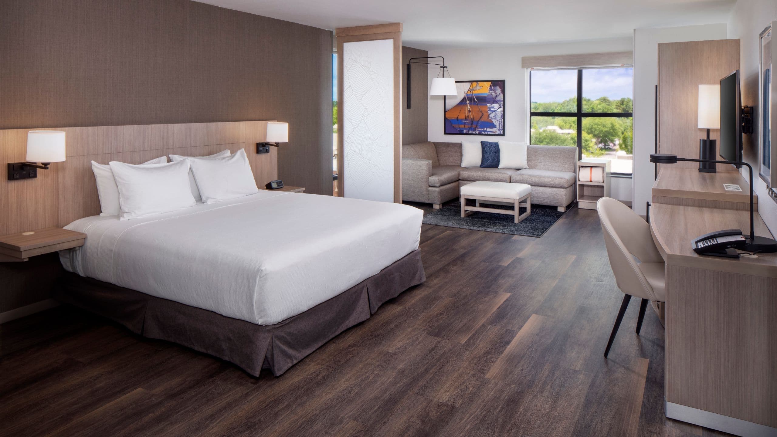 Accessible | King Bed/Shower (plus sofa bed) - Image 1