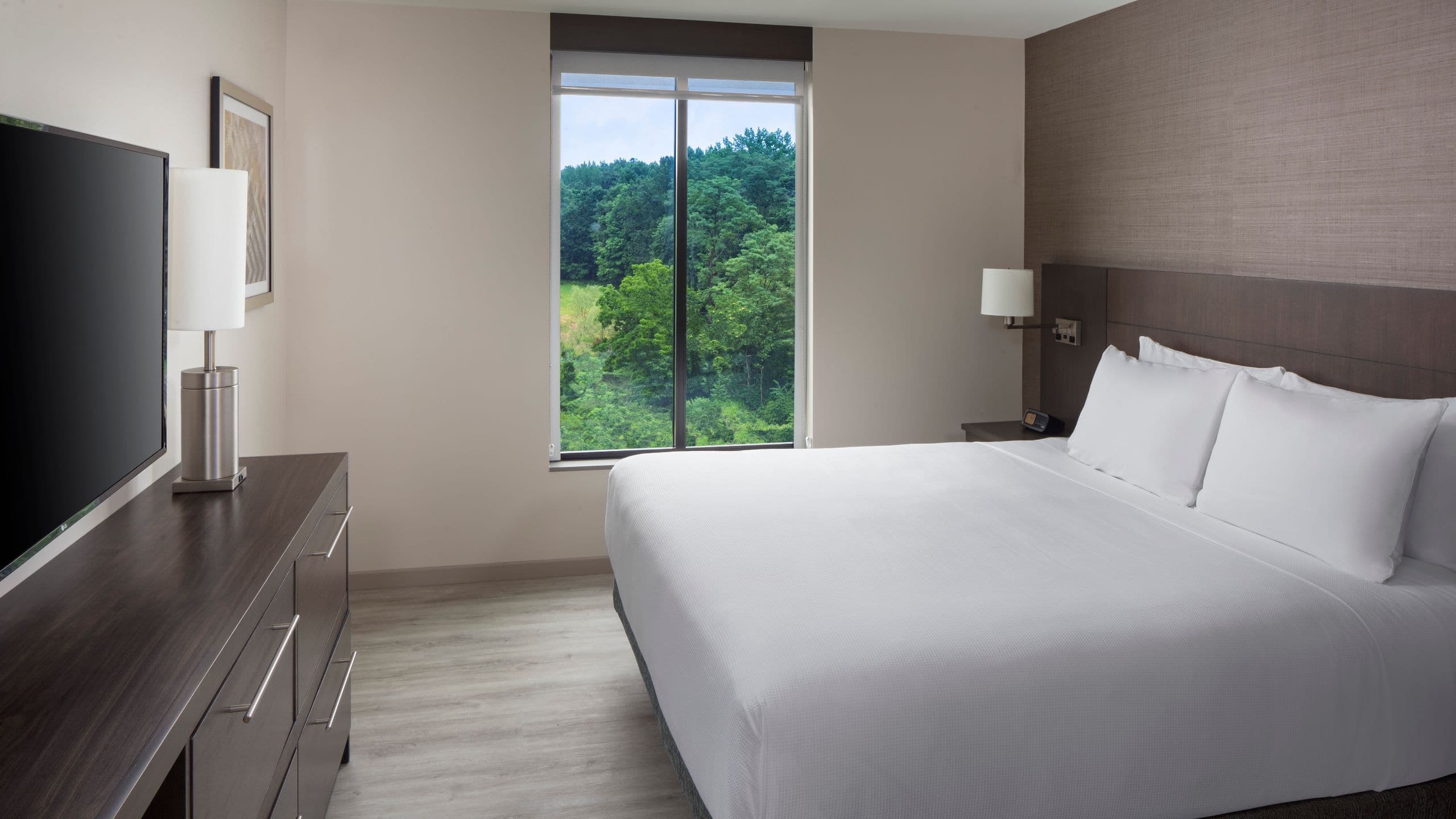 King Bed (plus sofa bed) - Image 1