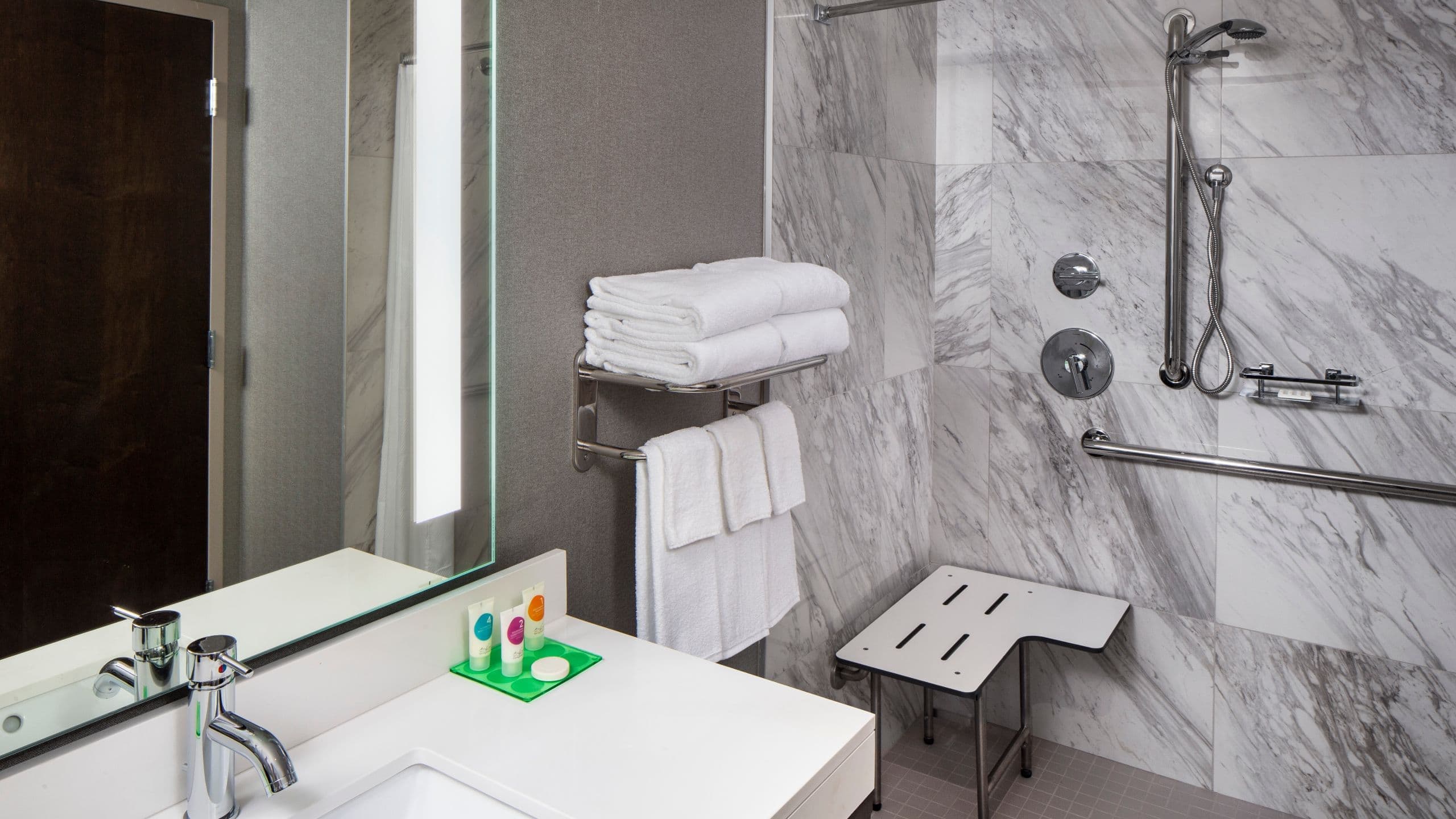 Accessible | King Bed/Roll-In Shower (plus sofa bed) - Image 2