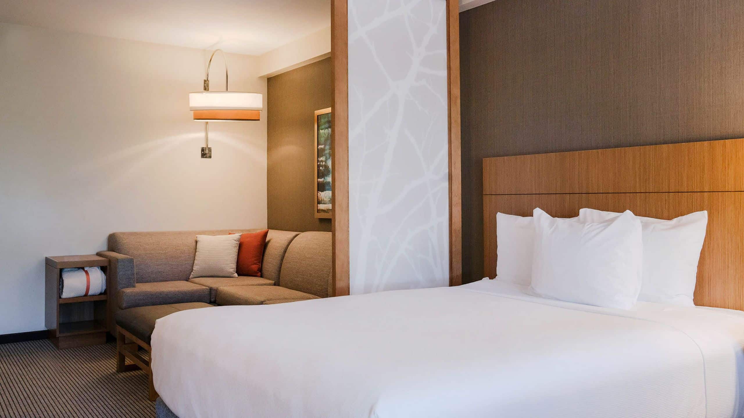 Accessible King Bed/Roll-In Shower (With Sofa Bed) - Image 1