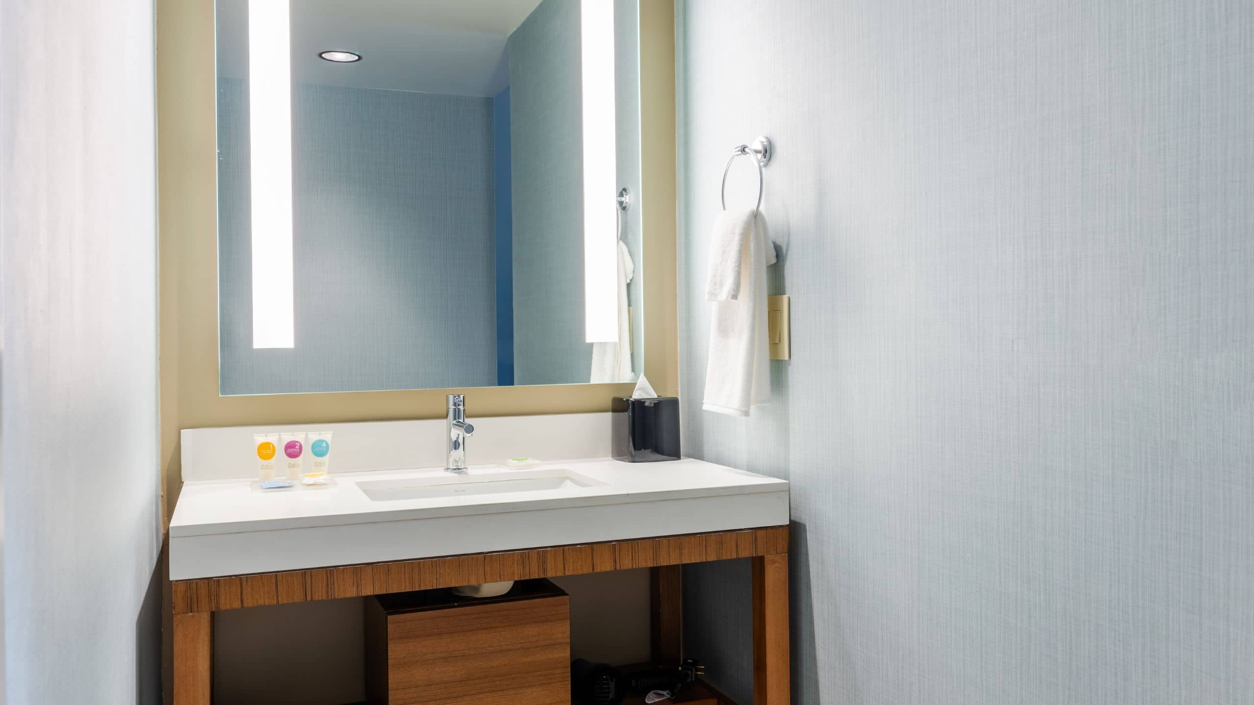 Hyatt Place Atlanta / Centennial Park - Image 4