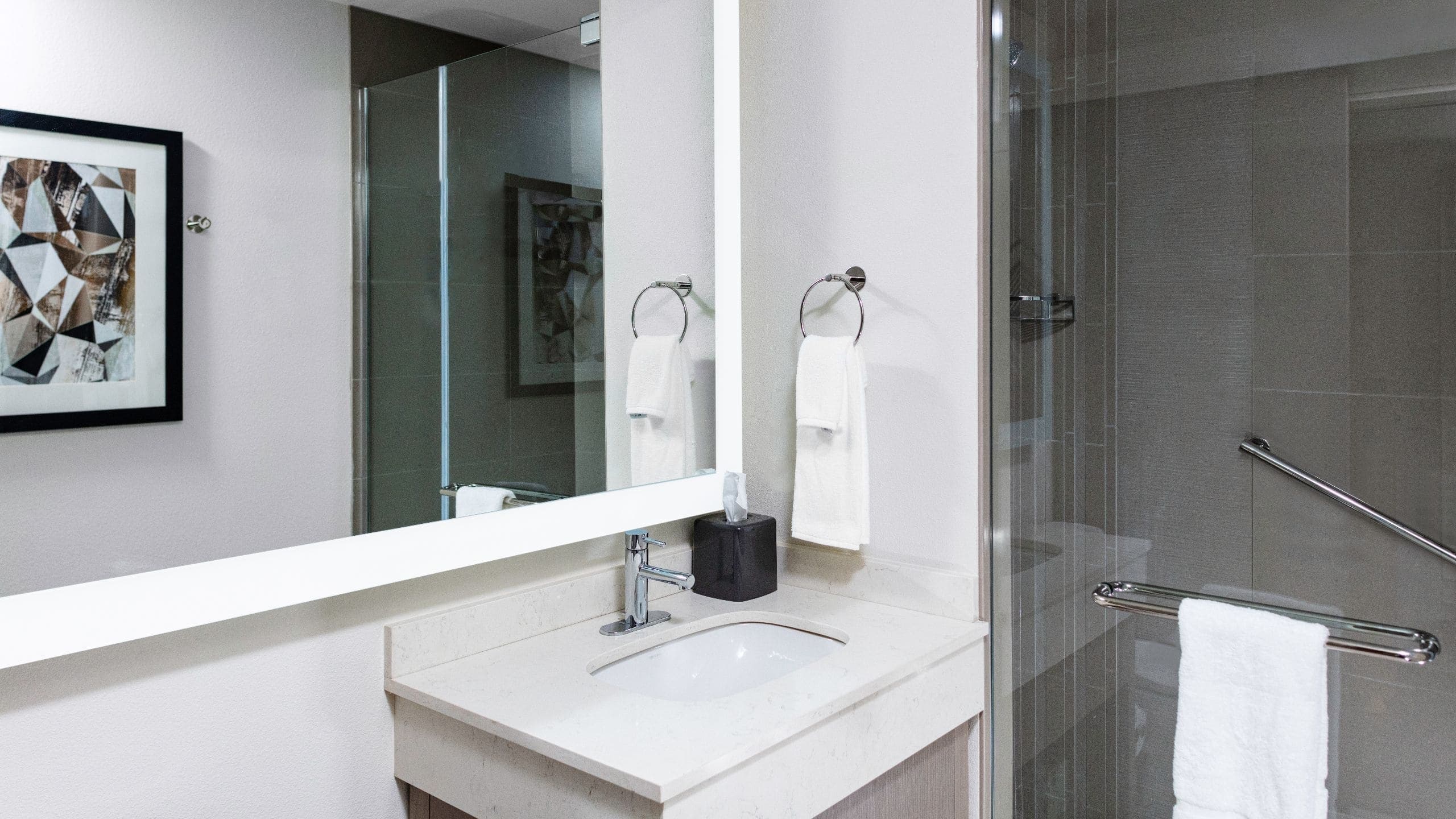 Accessible Den | King Bed / Tub (Plus Sofa Bed) - Image 2