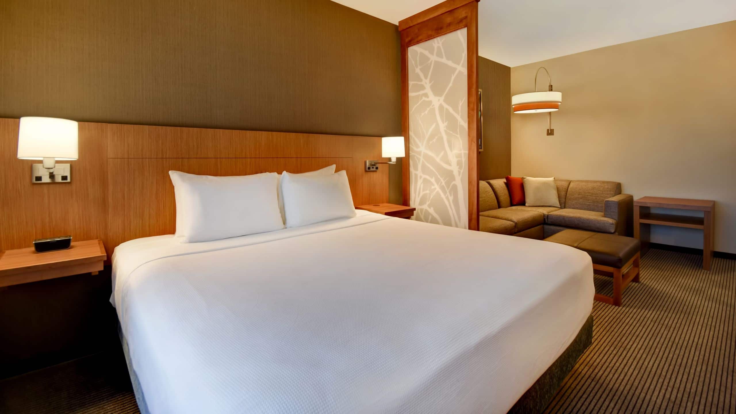 King Bed (Plus Sofa Bed) - Image 2