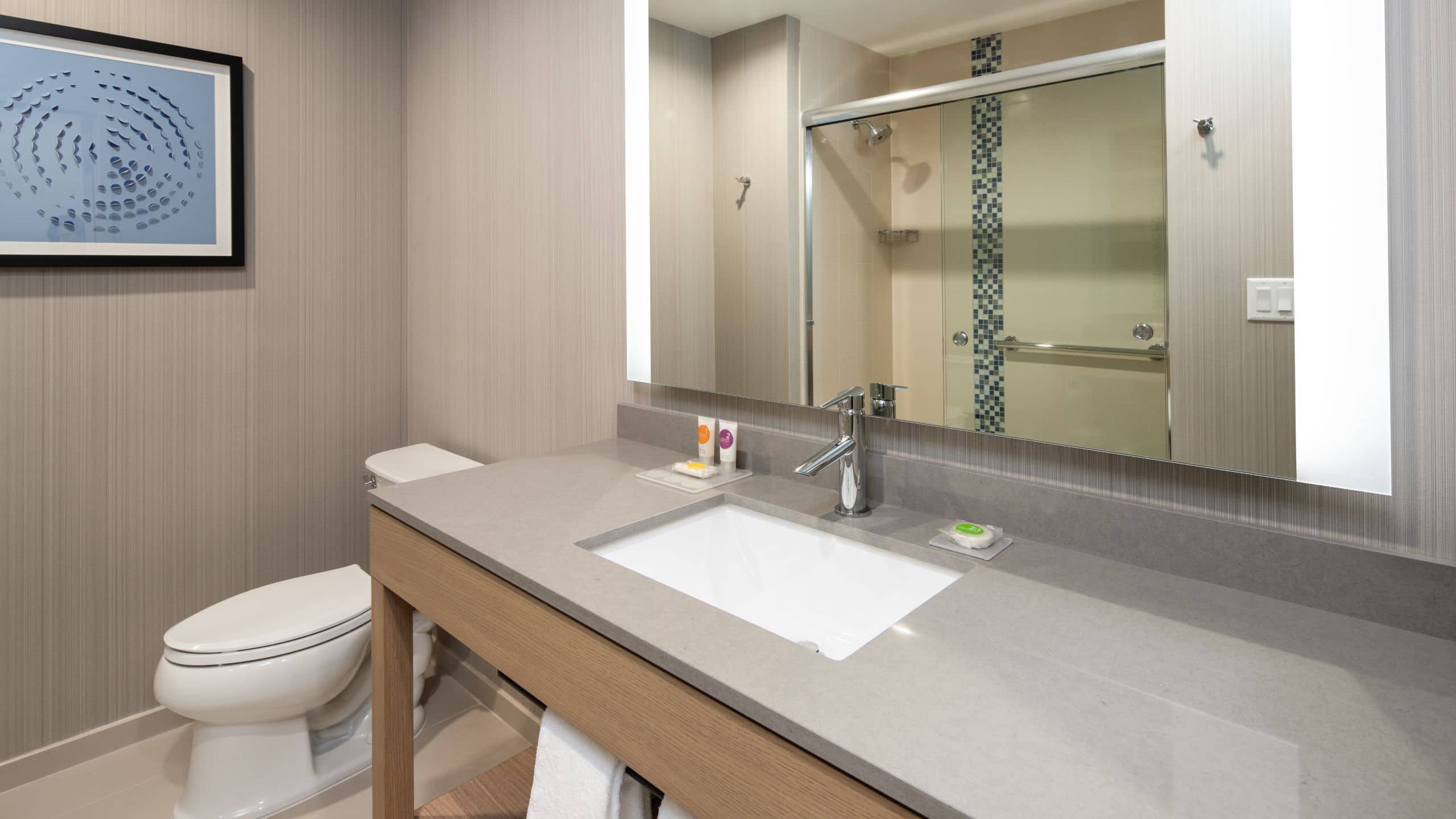 King Bed (Plus Sofa Bed) - Image 5