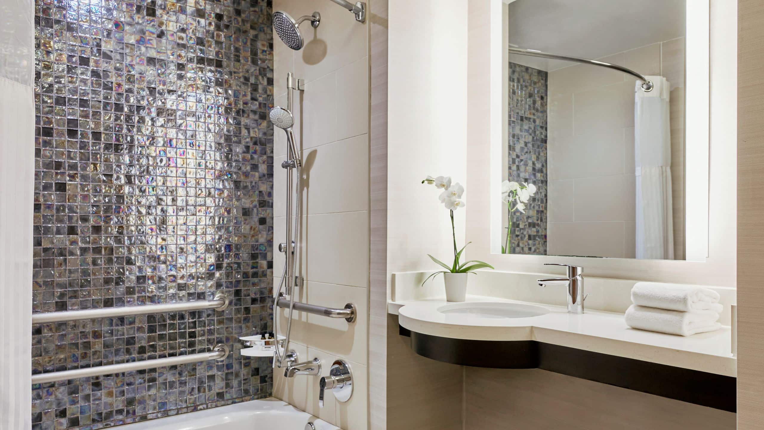 1 King Accessible Tub - Image 2
