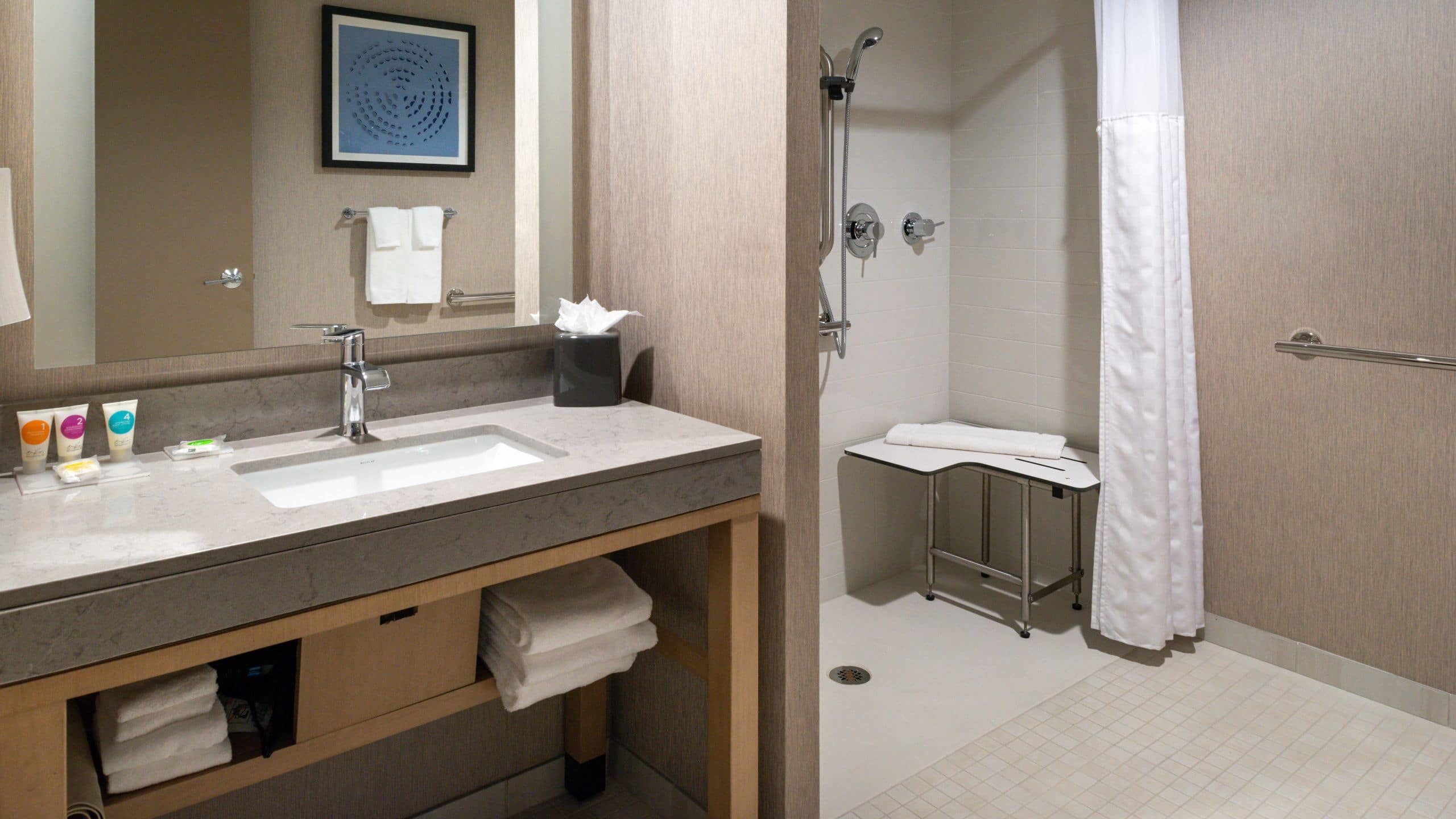 Accessible | Two Queen / Roll-In Shower - Image 2