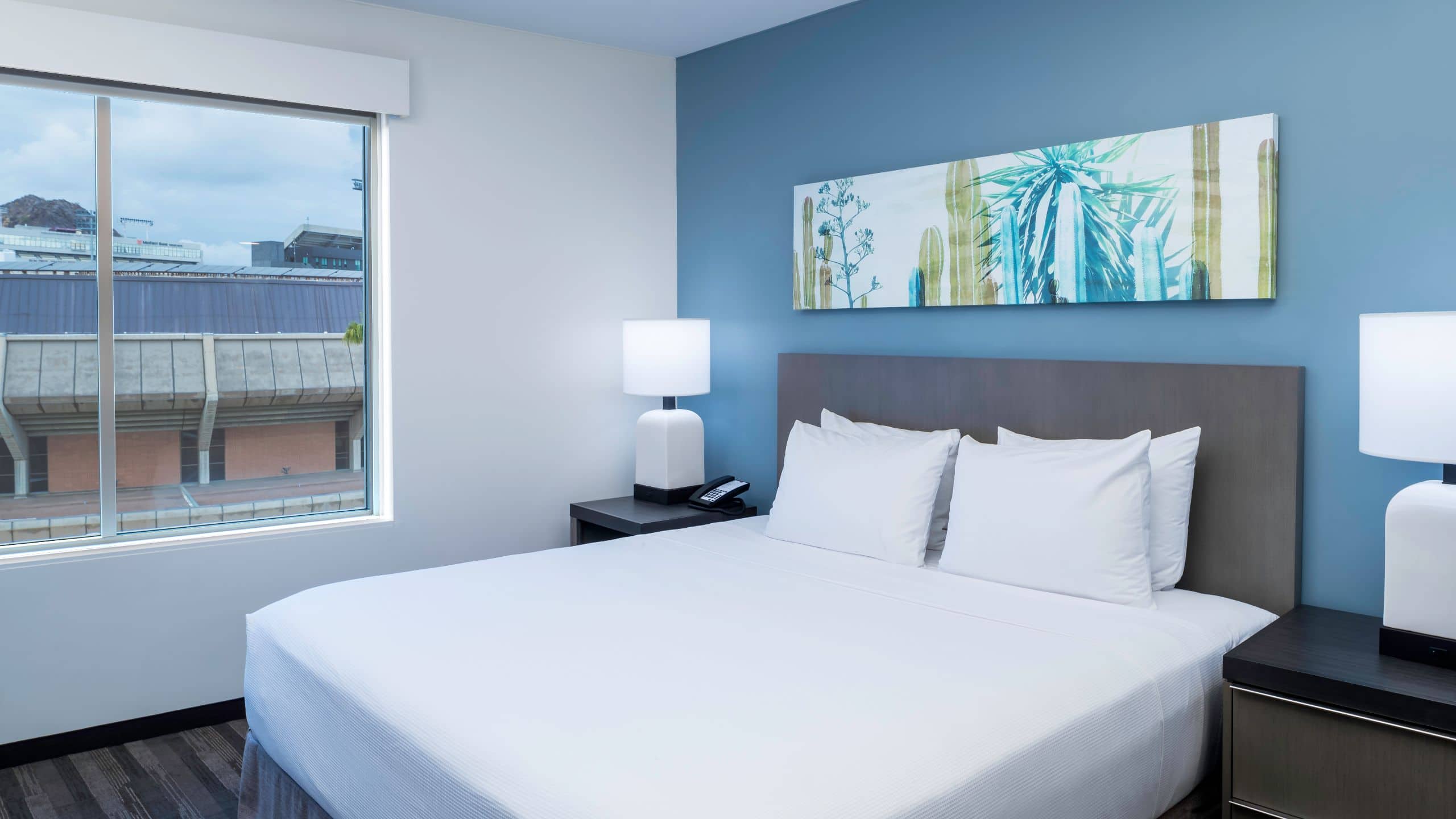 Accessible | One Bedroom Kitchen Suite/Roll-in Shower (plus sofa bed) - Image 1