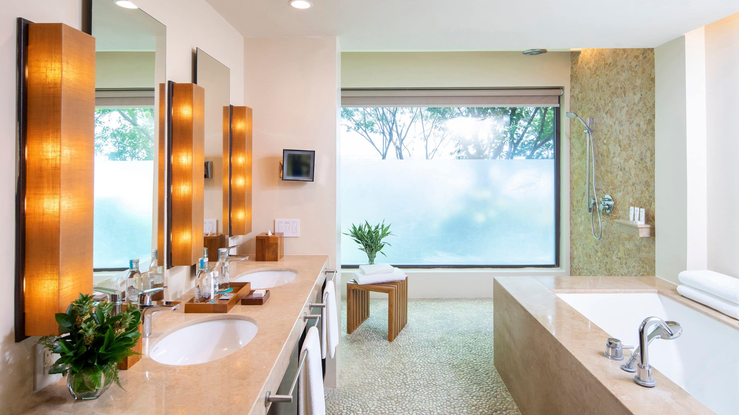 Andaz Peninsula Papagayo Resort, Costa Rica - Image 4