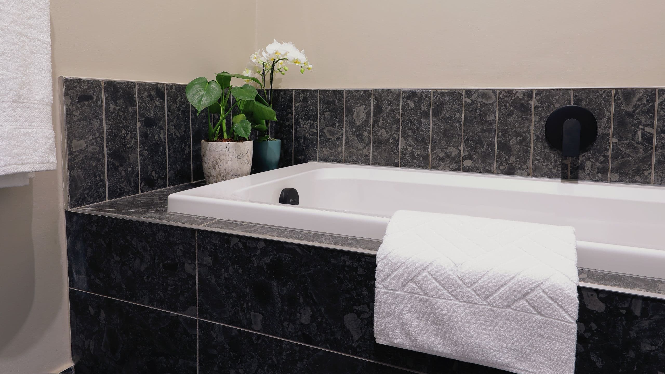 One Bedroom Suite - Image 4