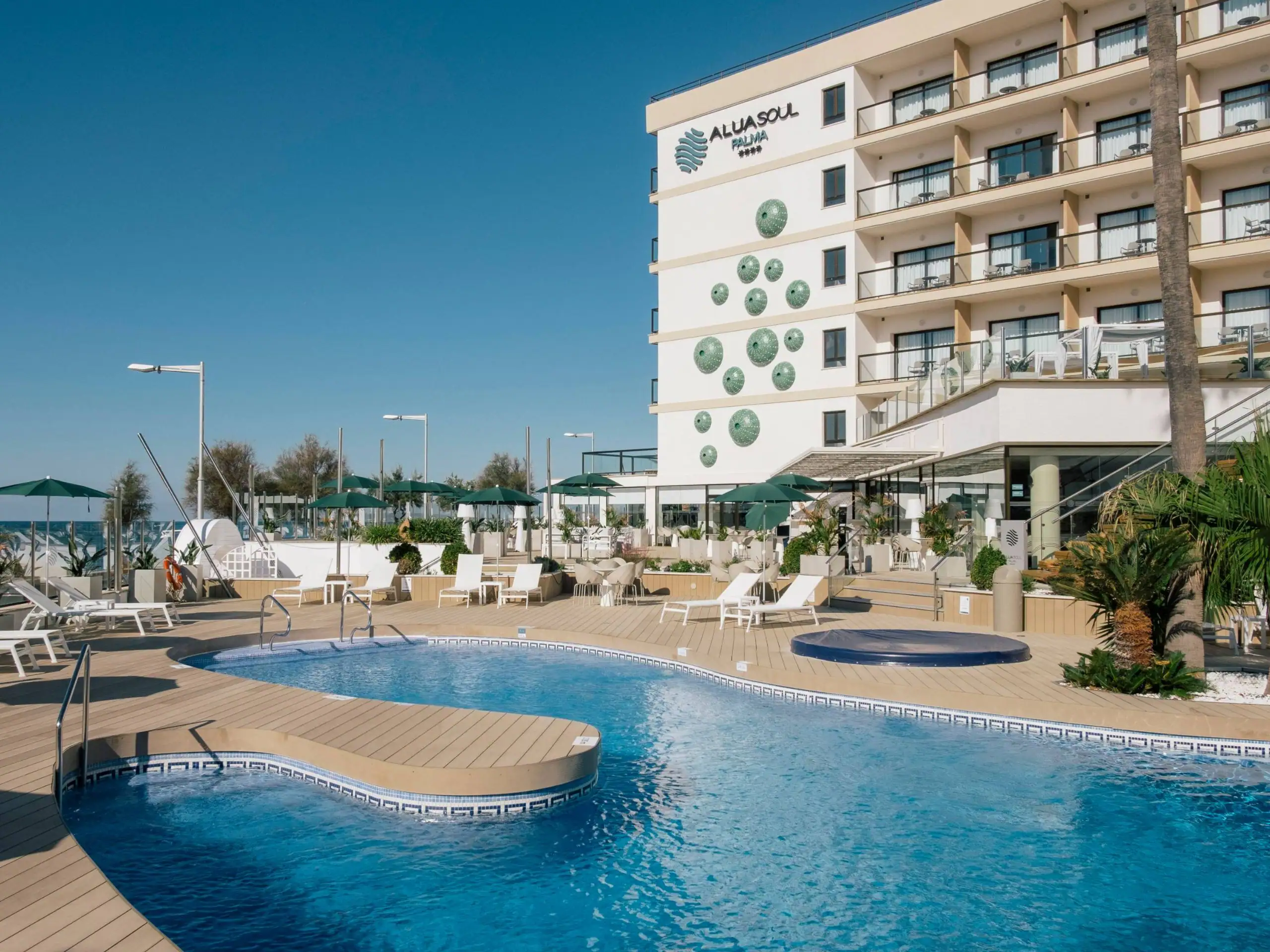 AluaSoul Palma - Image 1