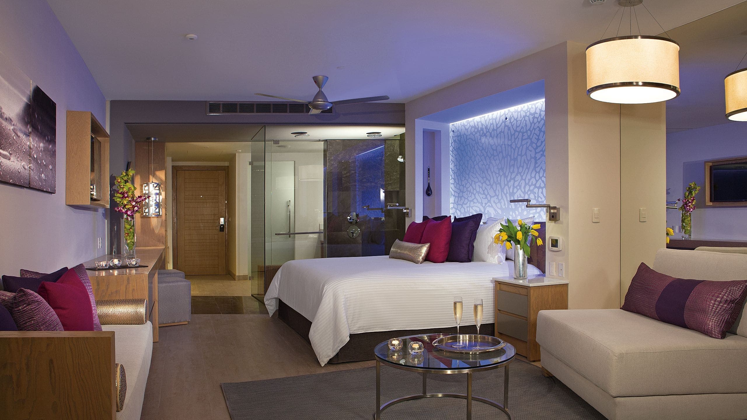 Xcelerate Junior Suite Tropical View King Bed - Image 1