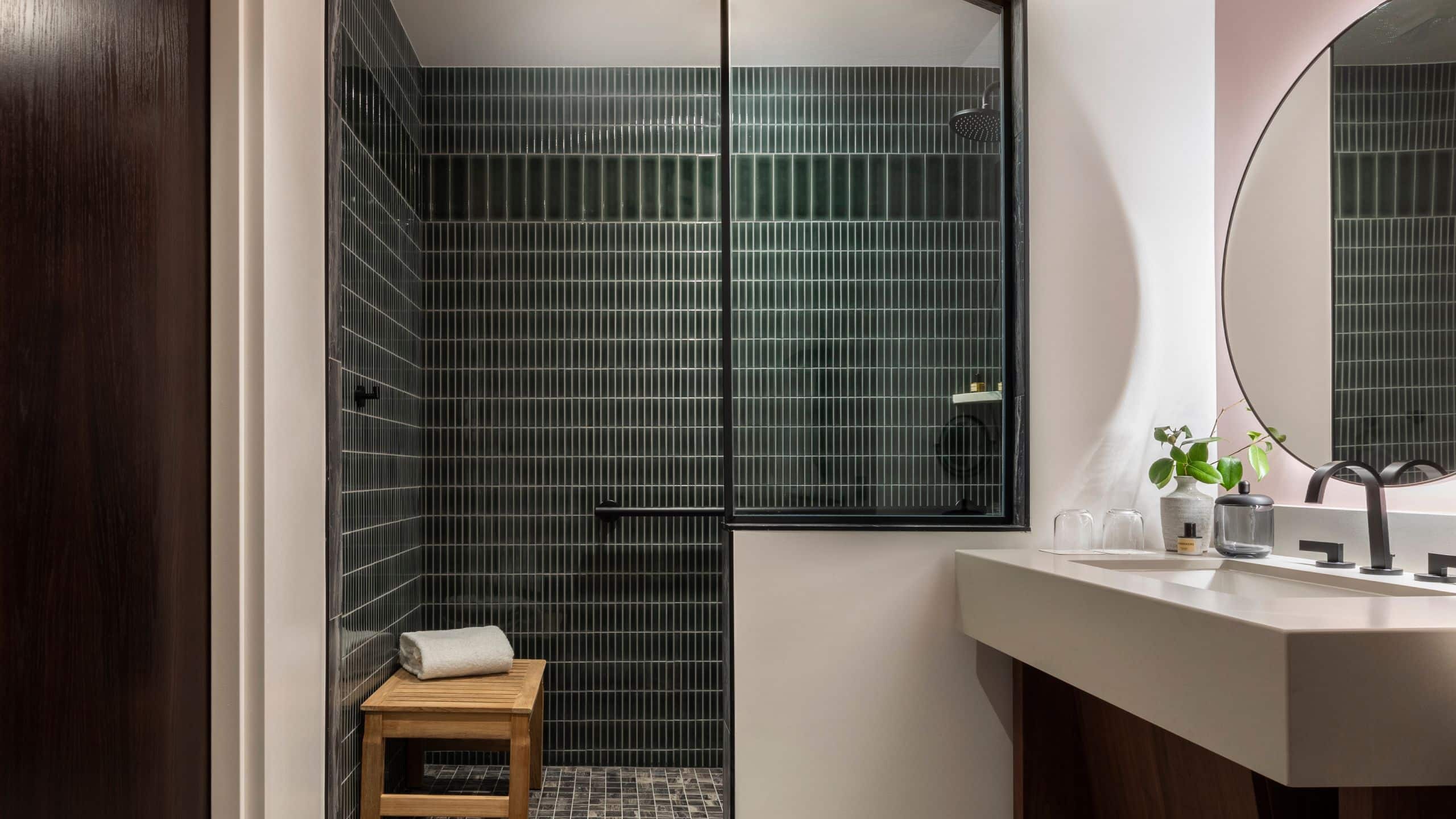 2 Queens Accessible Shower with Grab Bar - Image 2