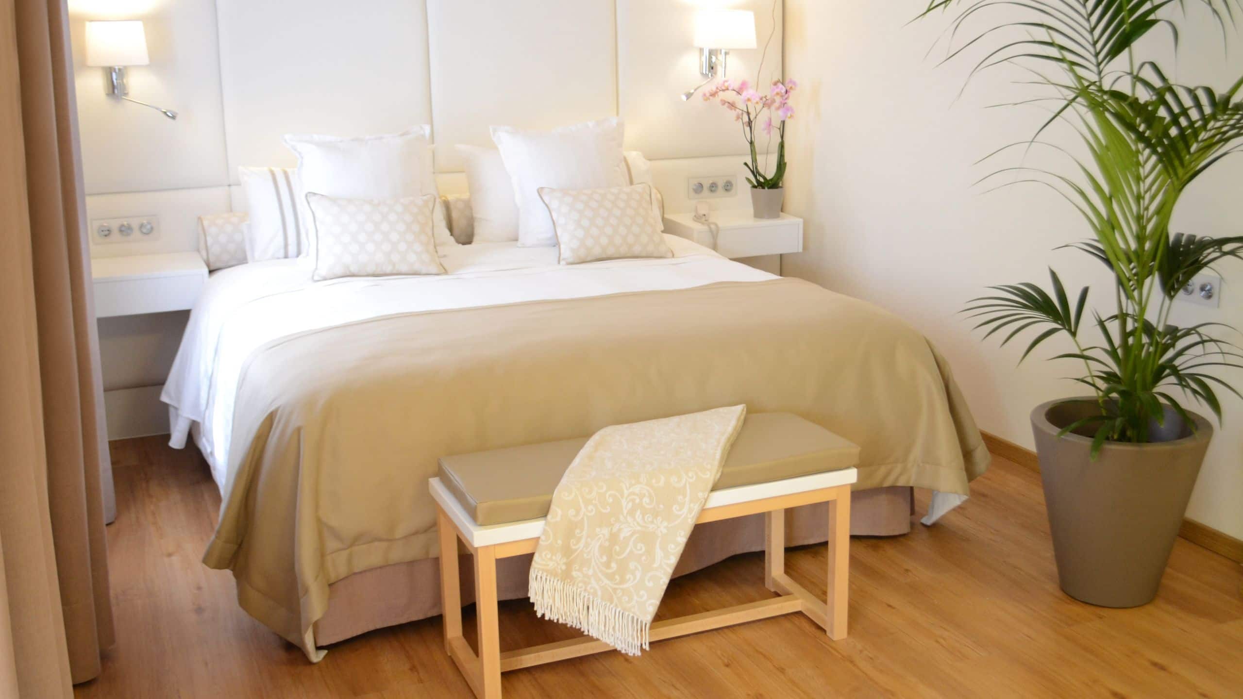 My Favorite Club Junior Suite - Image 2