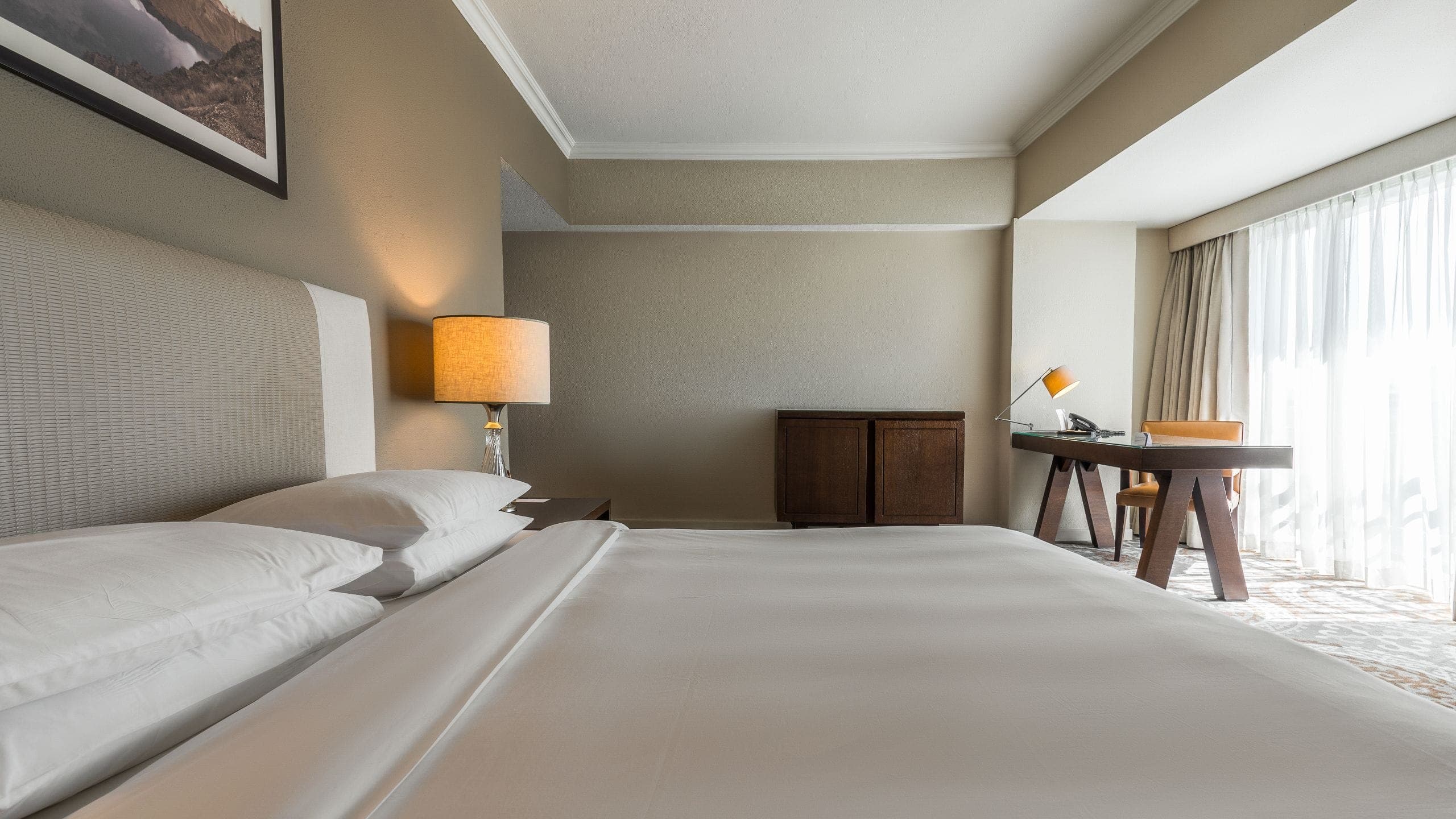 Hyatt Regency Bishkek - Image 3