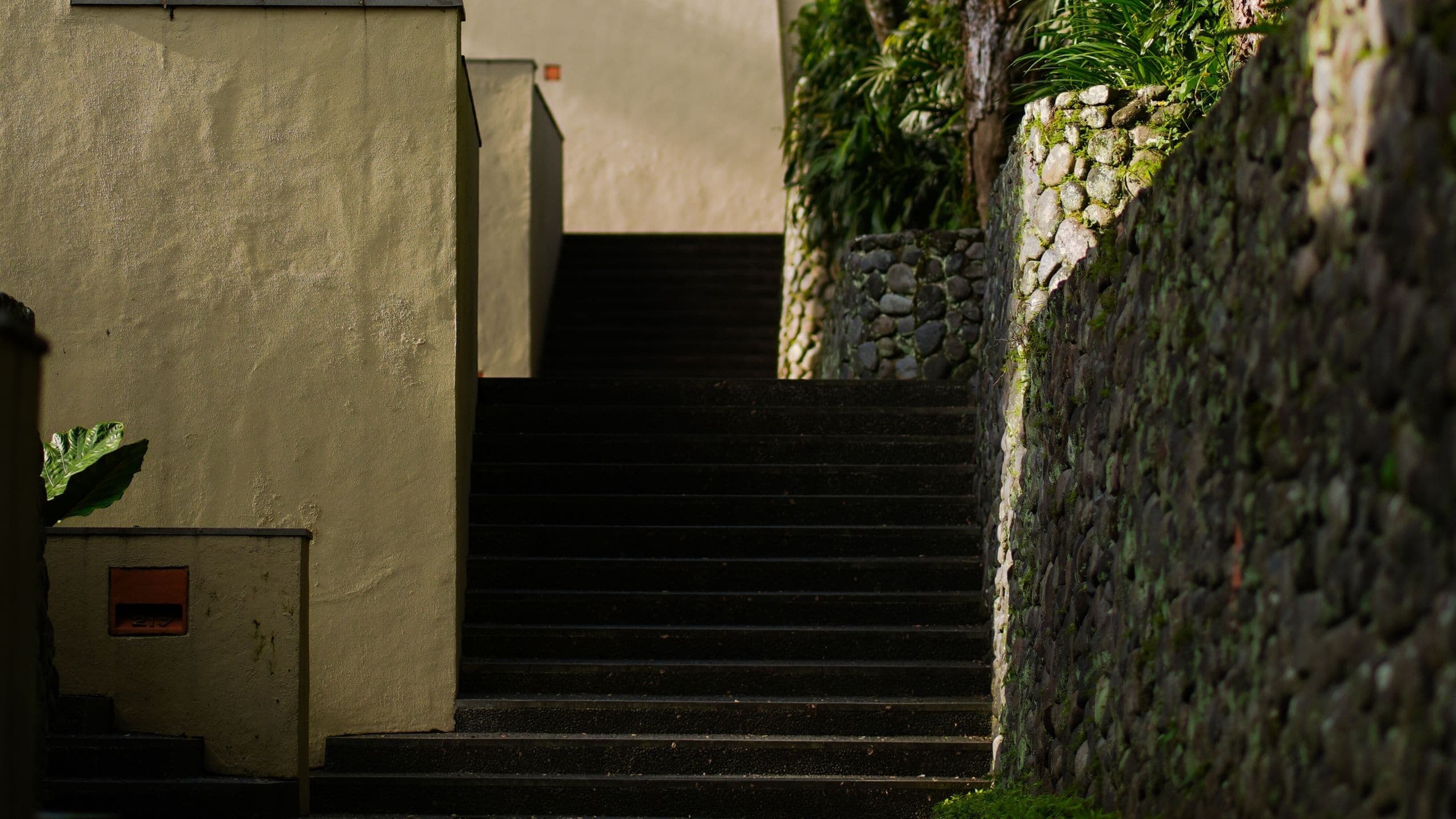 Alila Ubud - Image 4