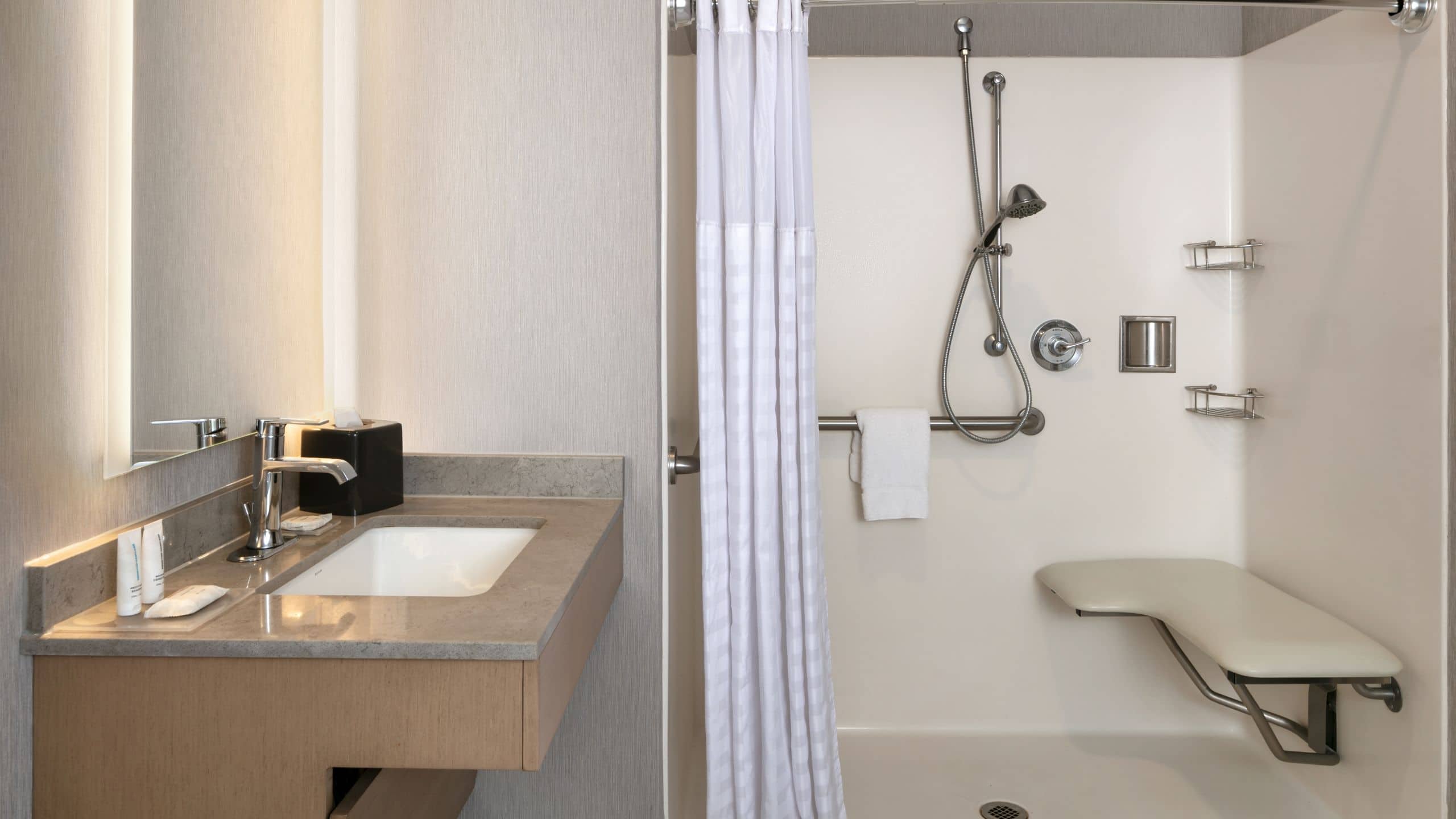 Accessible King Bed/Roll-In Shower - Image 2