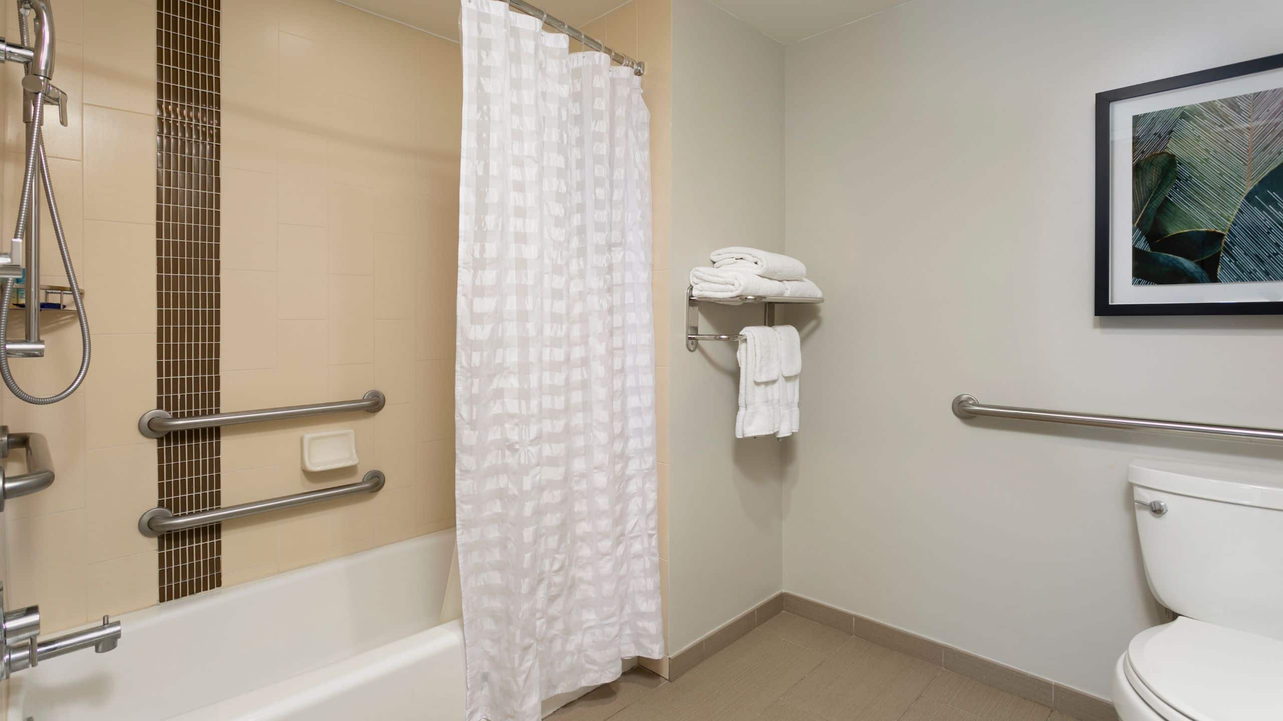Accessible King Bed/Tub (With Sofa Bed) - Image 3