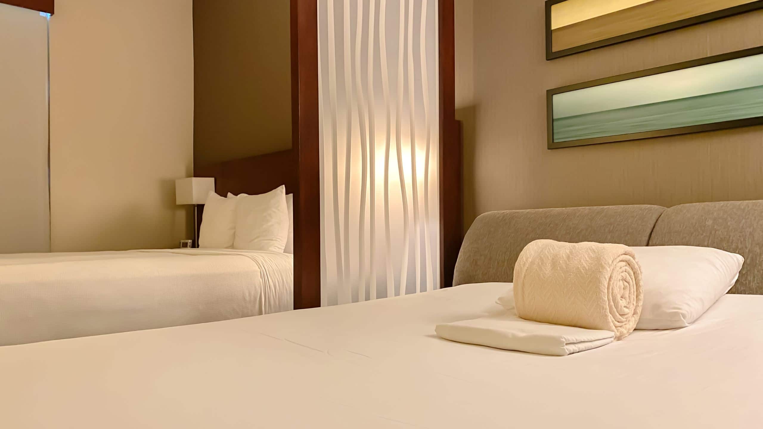 Hyatt Place King (with sofa bed) - Image 3