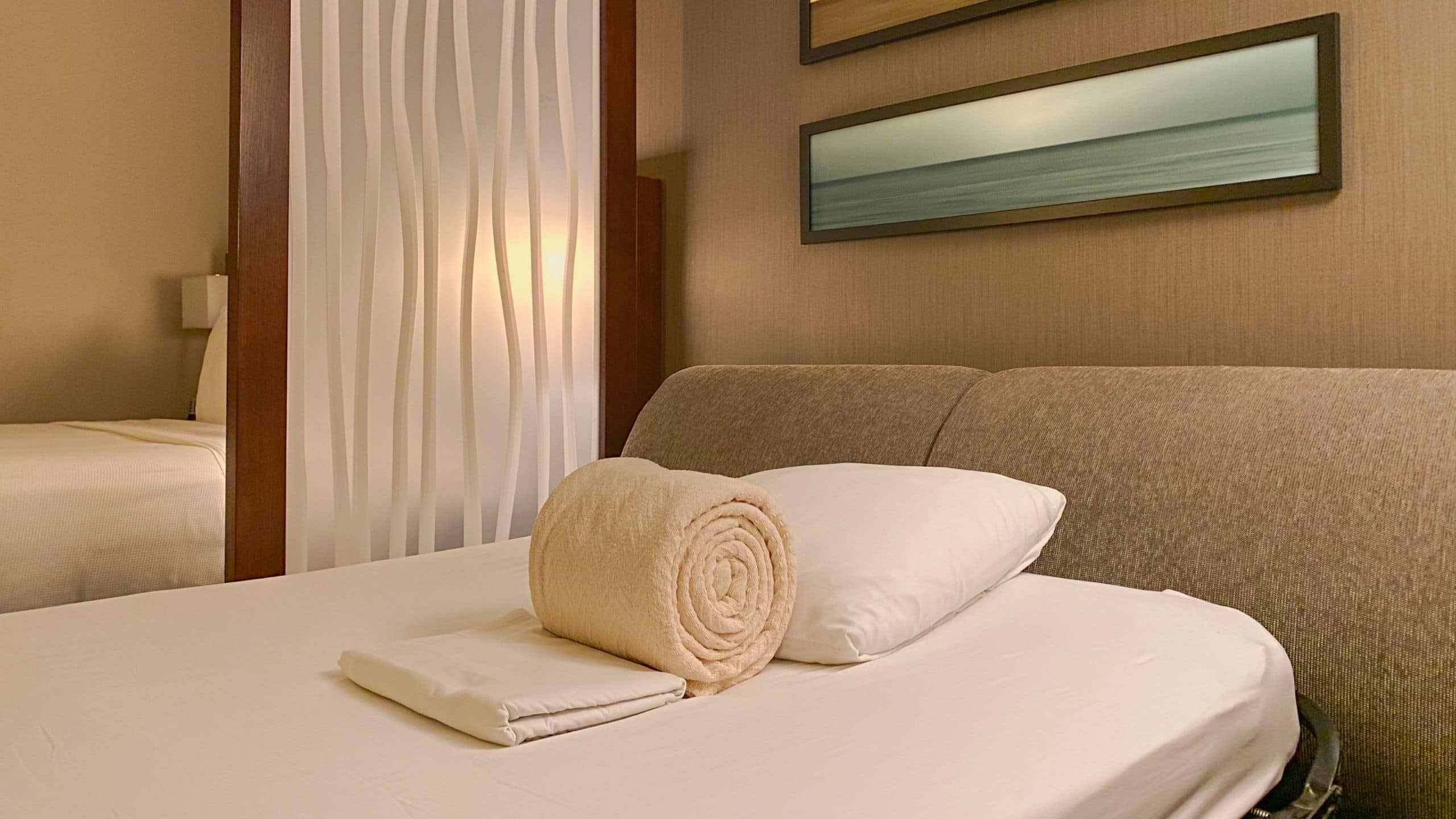 Hyatt Place King (with sofa bed) - Image 1