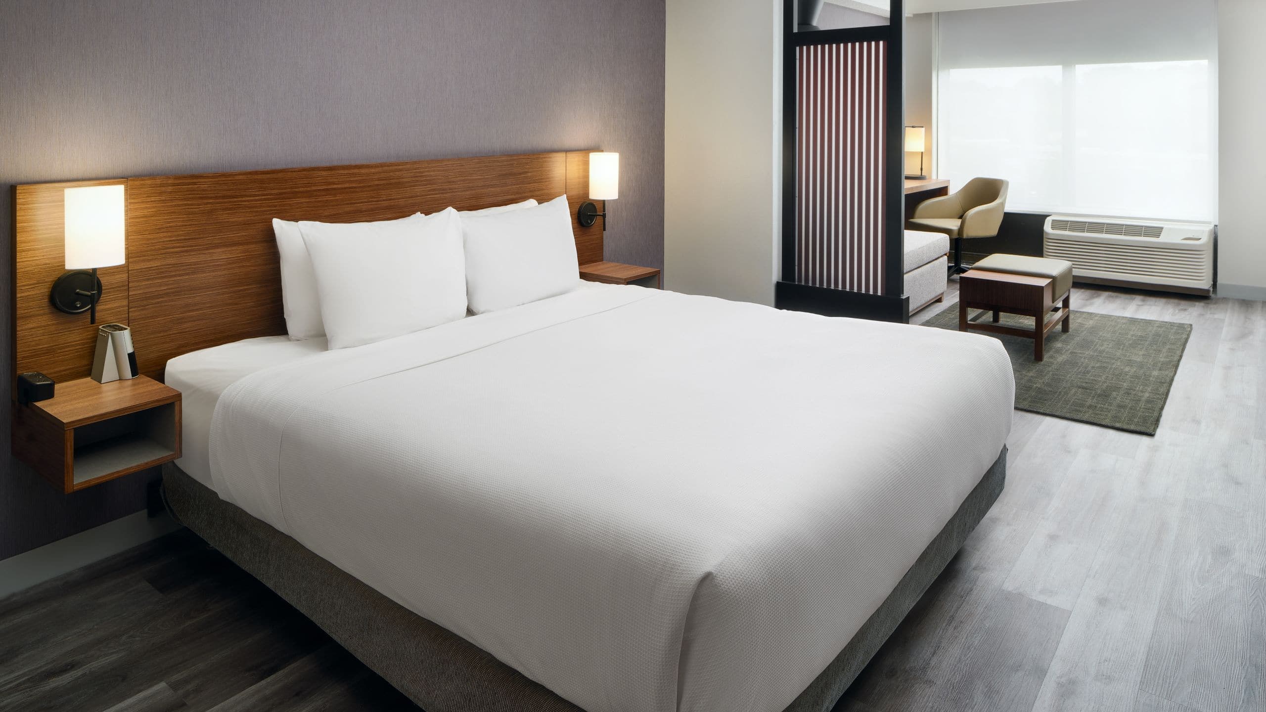 Accessible King Bed/Roll-In Shower (With Sofa Bed) - Image 1