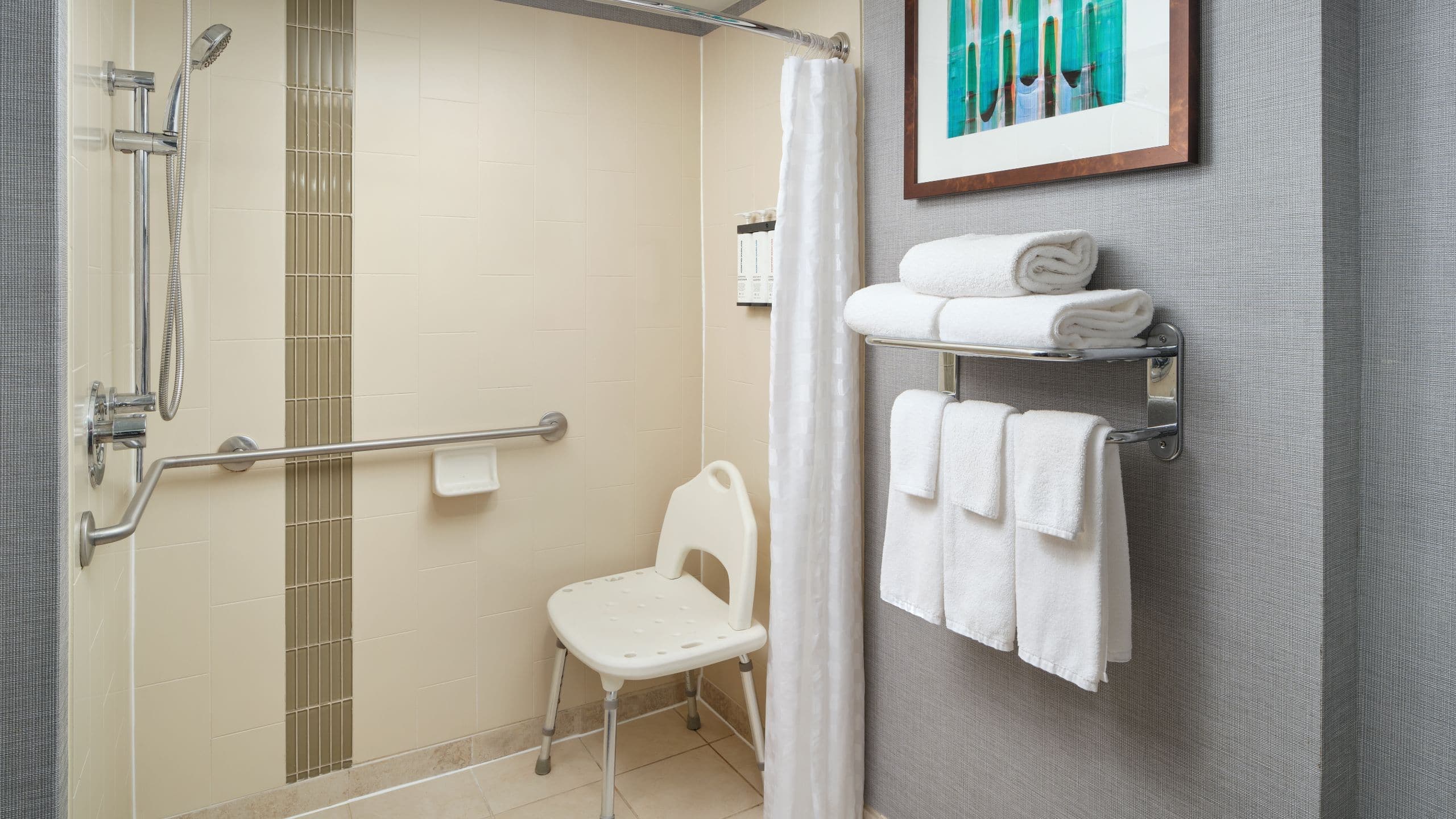 Accessible King Bed/Roll-In Shower (With Sofa Bed) - Image 4