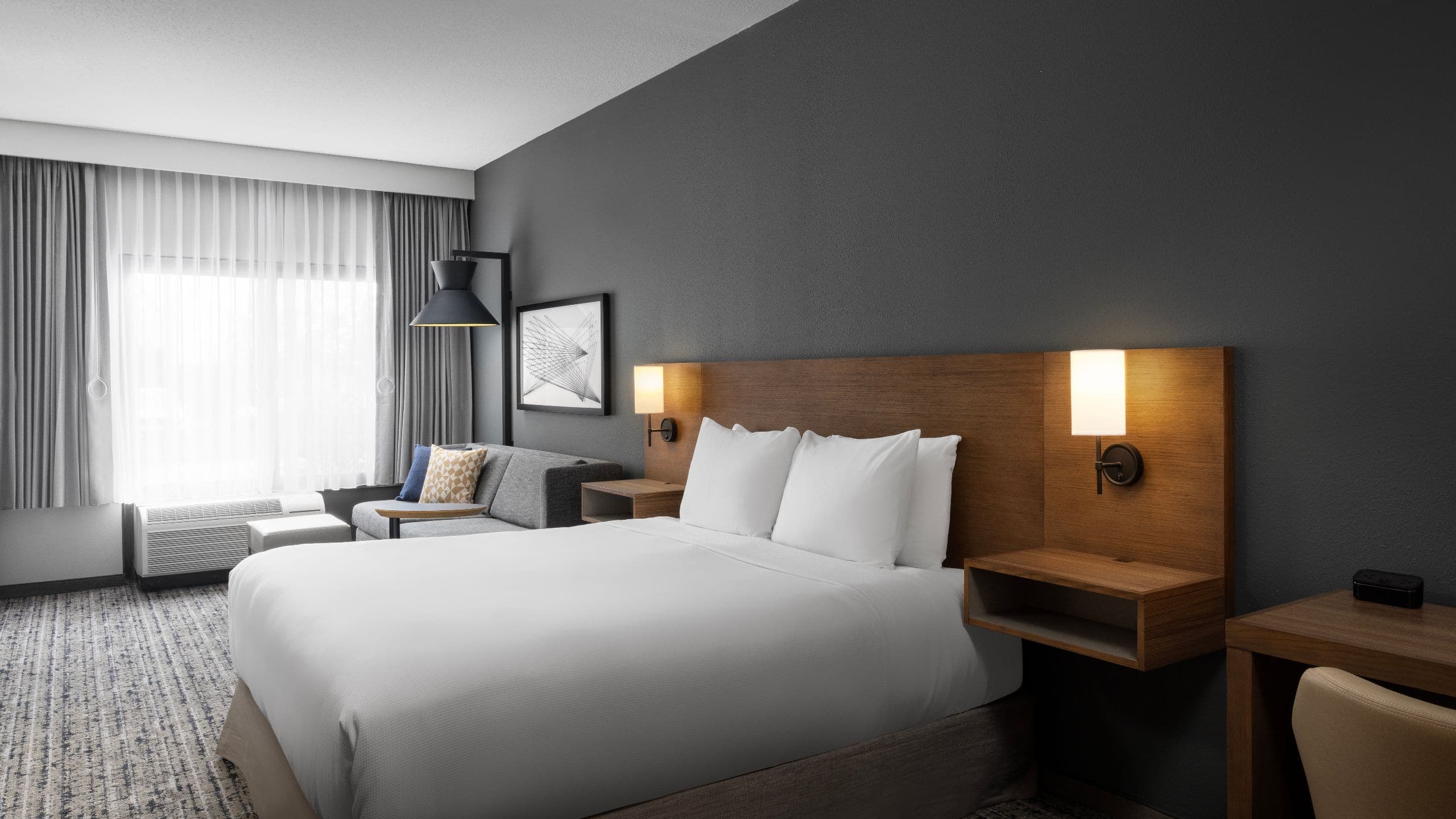 Accessible | King Bed Roll-In Shower (Plus Sleeper Sofa) - Image 1
