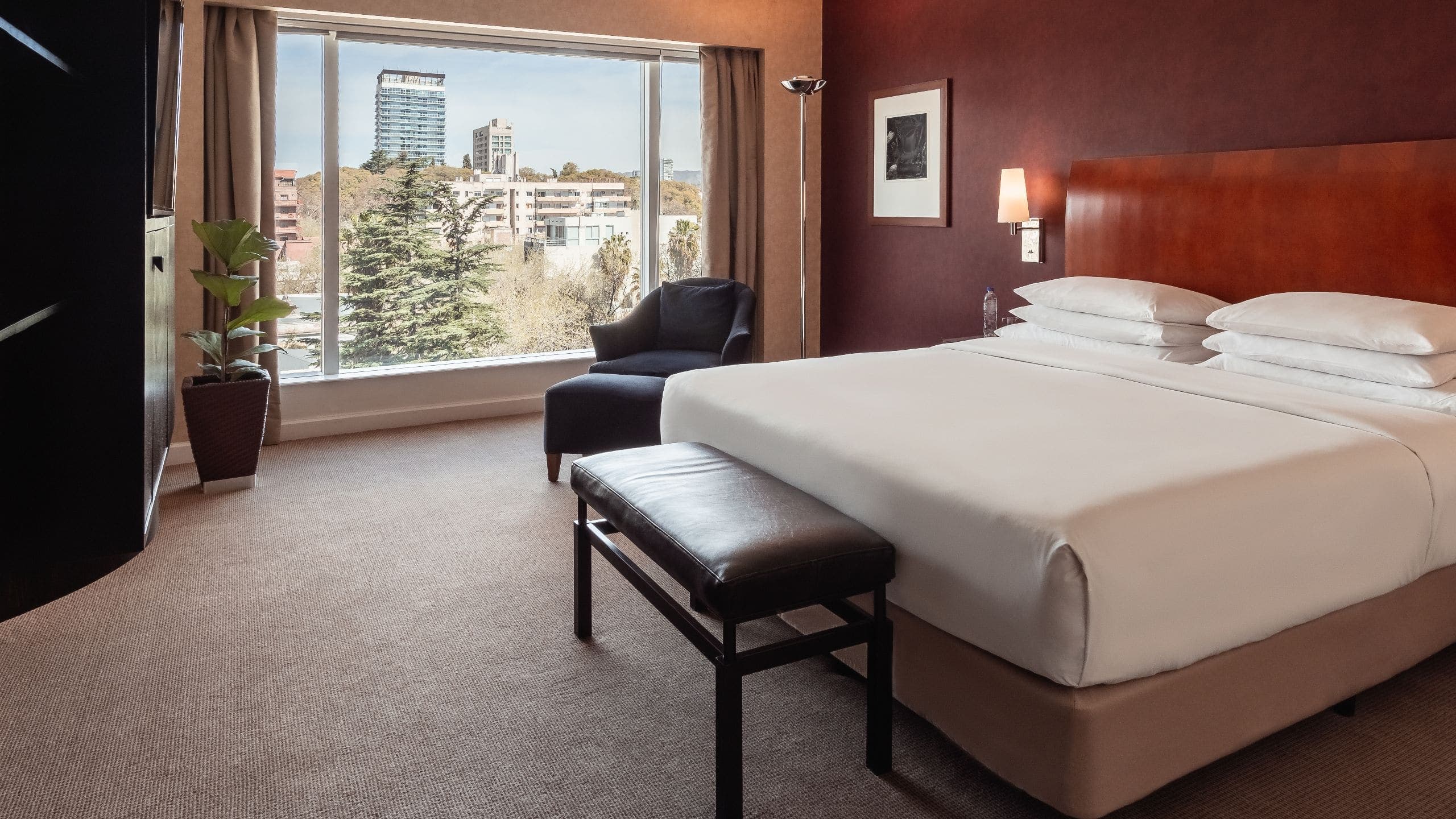 Park Suite - Image 1