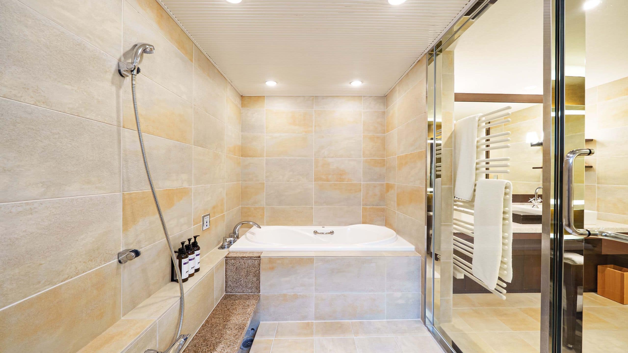 Regency Suite, 2 Twin Beds , Tatami Living - Image 4