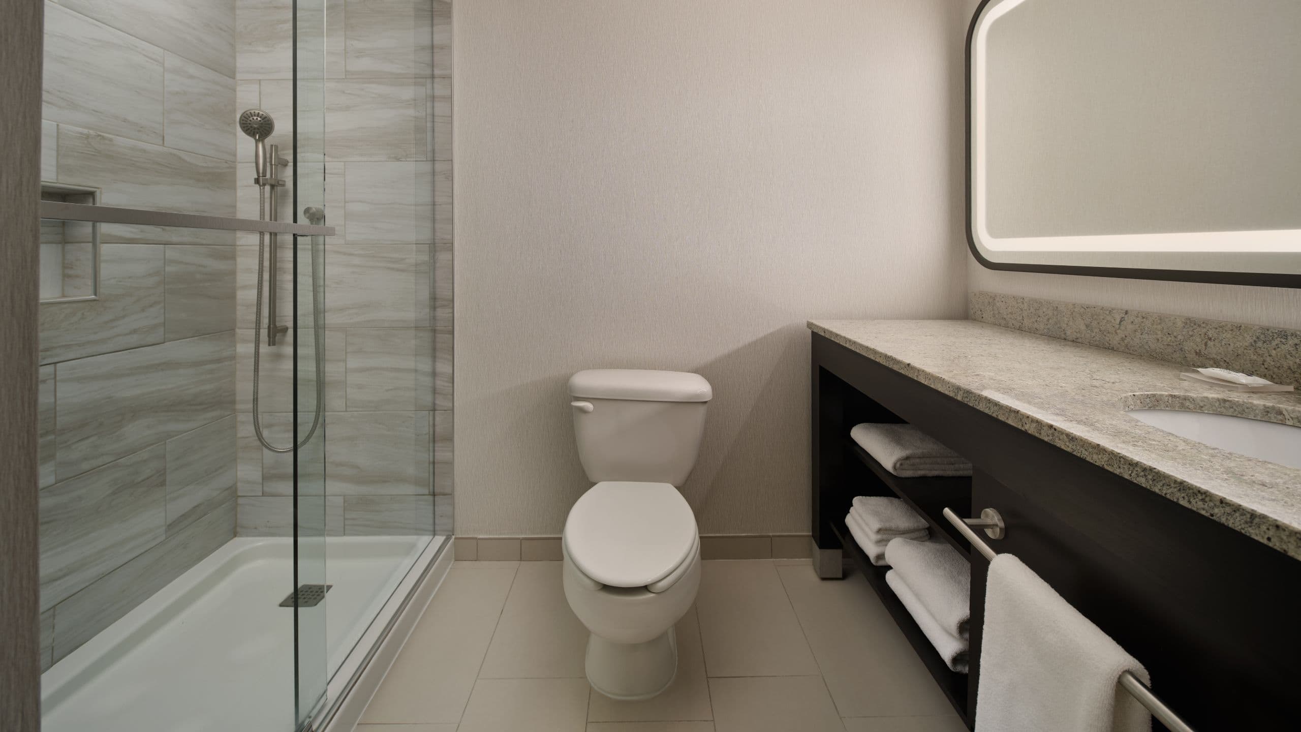 One King Suite - Image 4