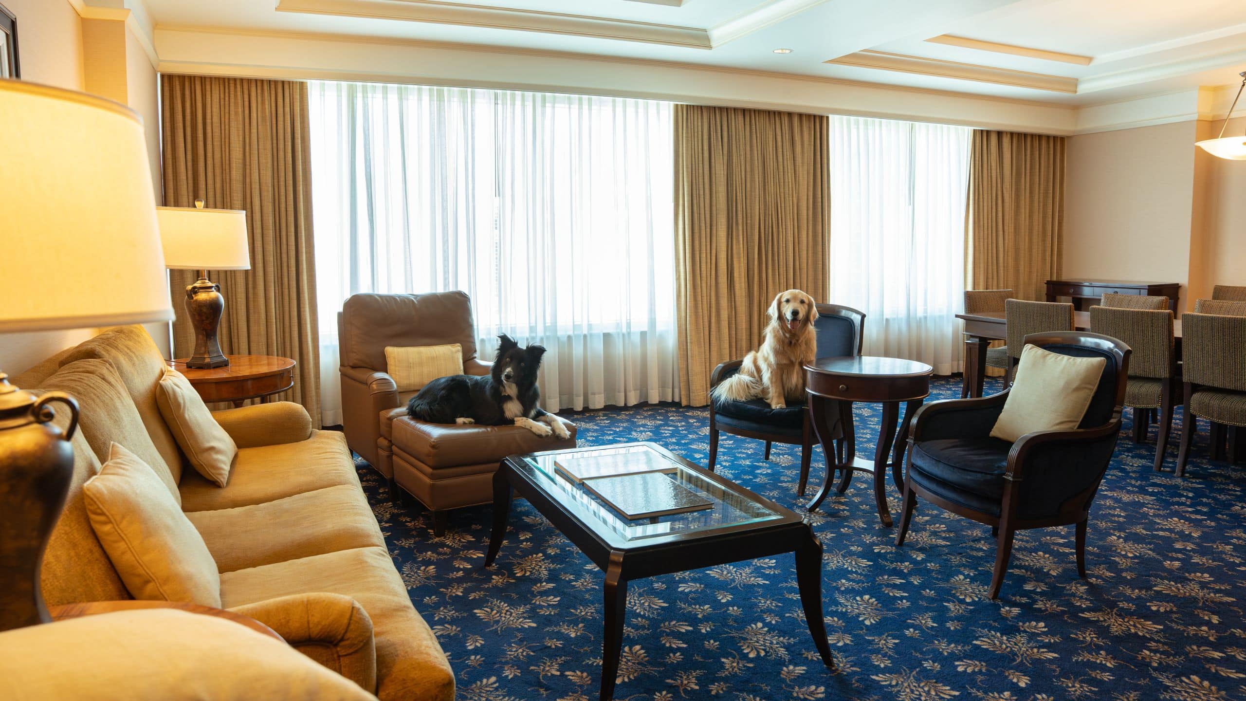 Conference Suite - Image 1