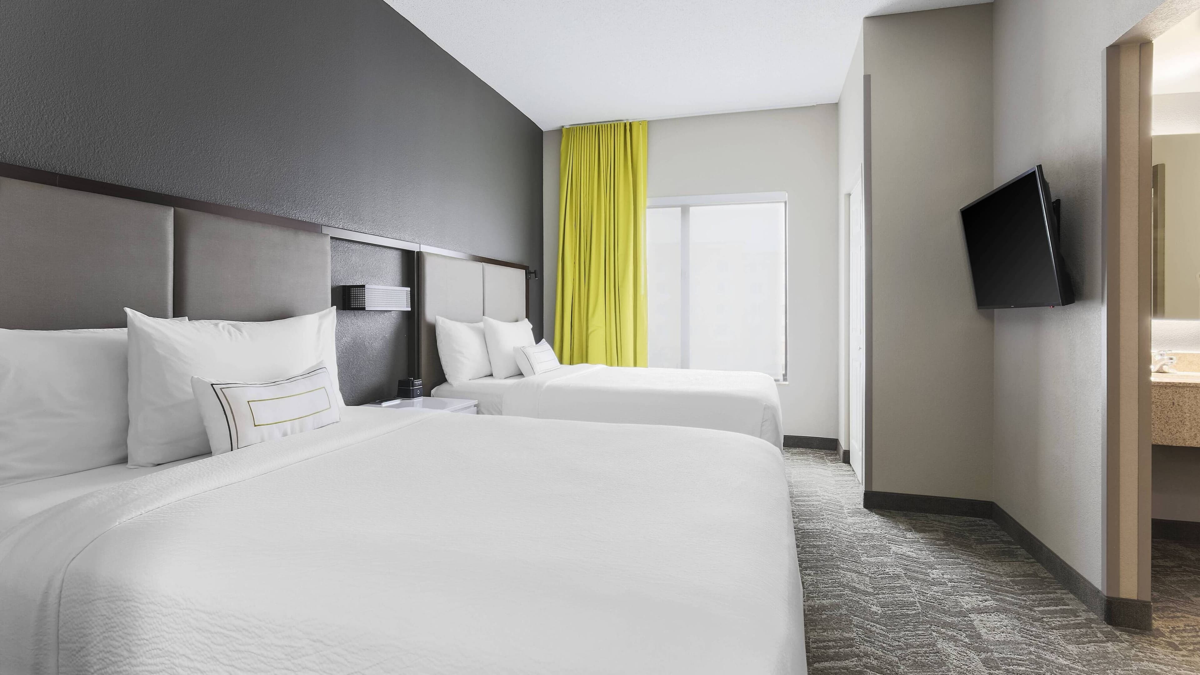 Studio Suite - Image 2