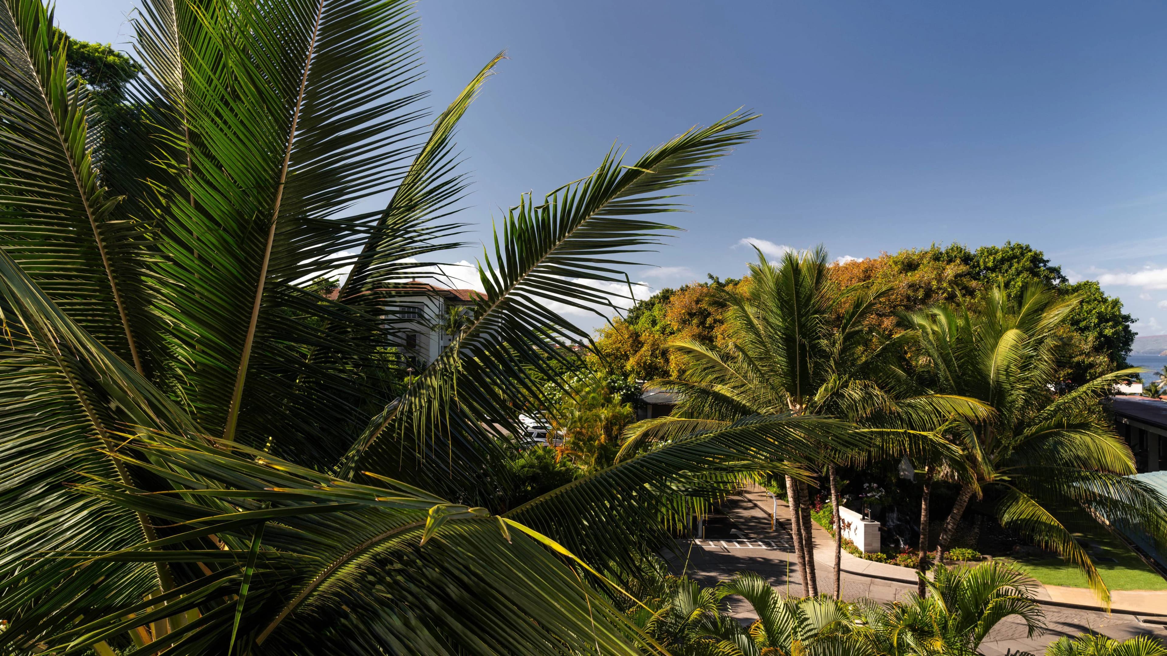 Garden View - Image 4