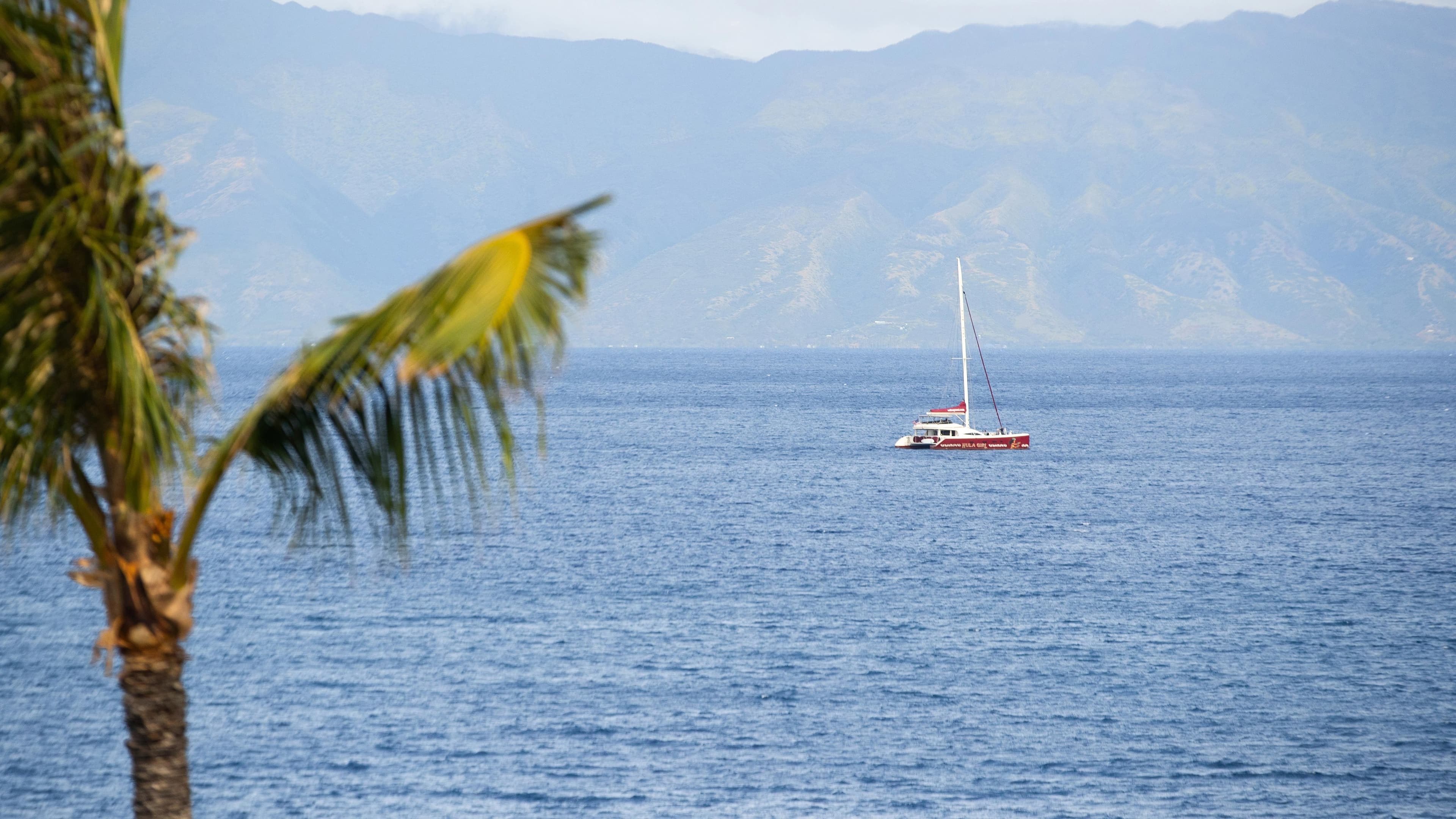 Sheraton Maui Resort & Spa - Image 5