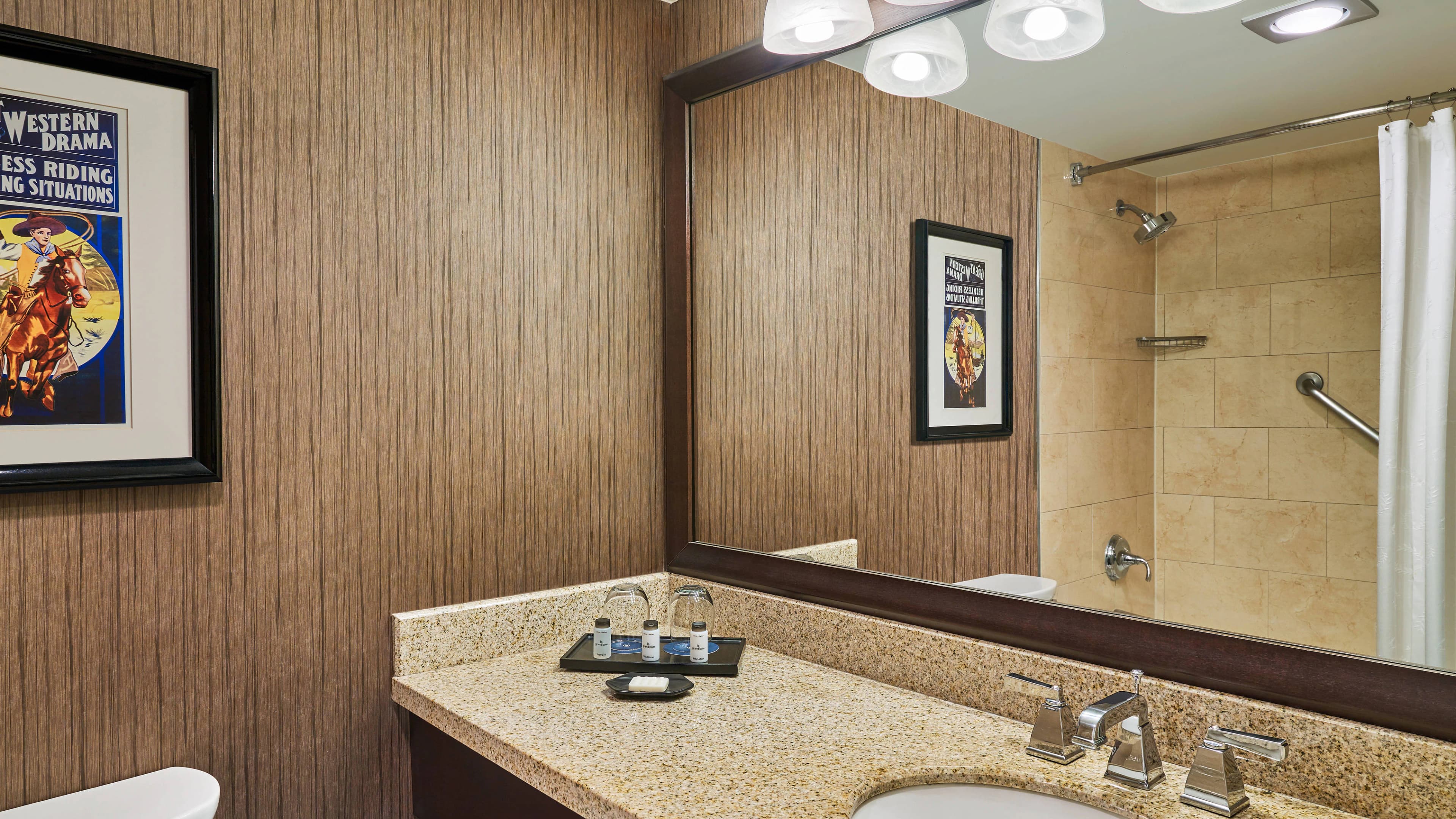Sheraton North Houston at George Bush Intercontinental - Image 3