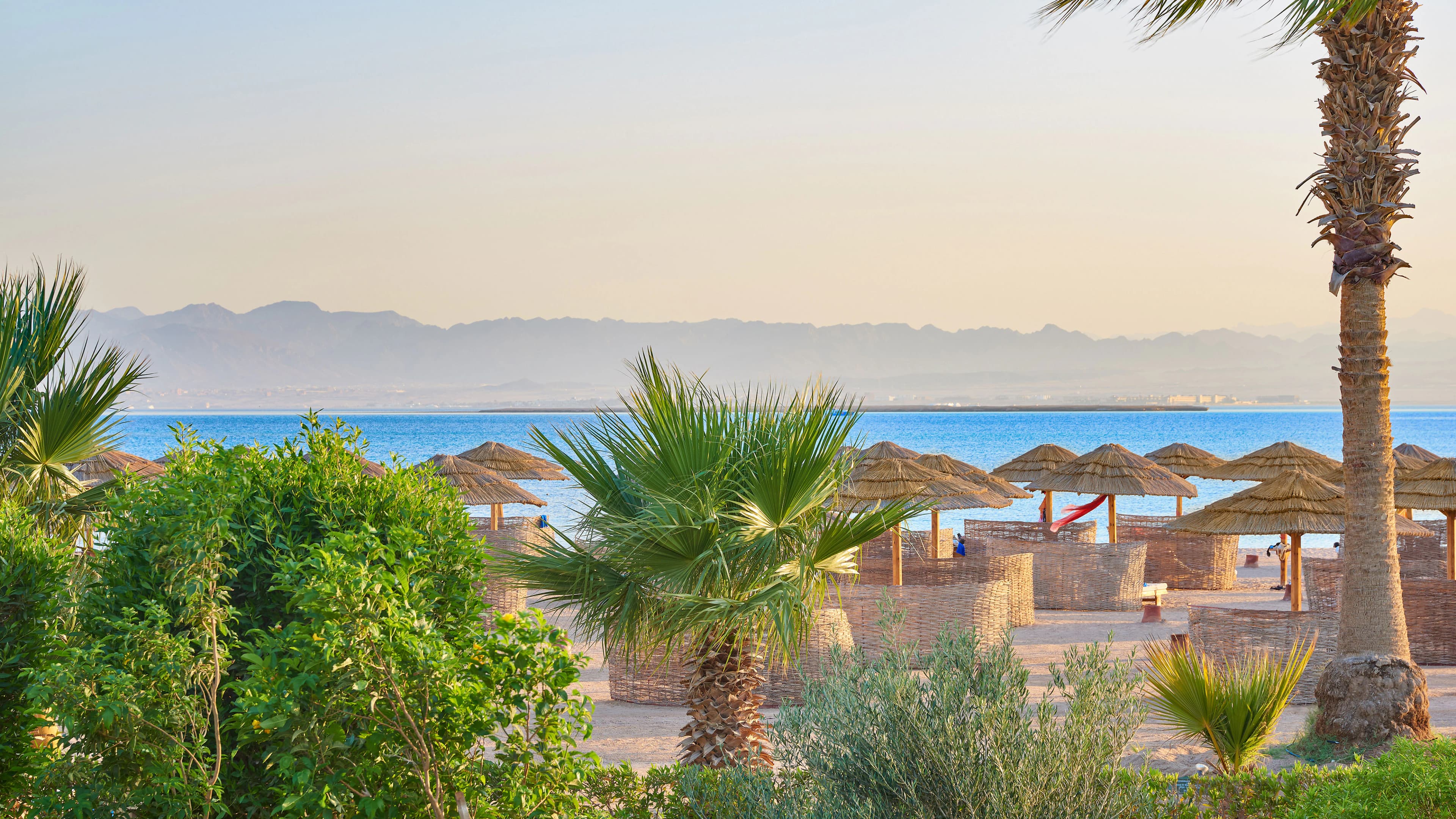 Sheraton Soma Bay Resort - Image 5