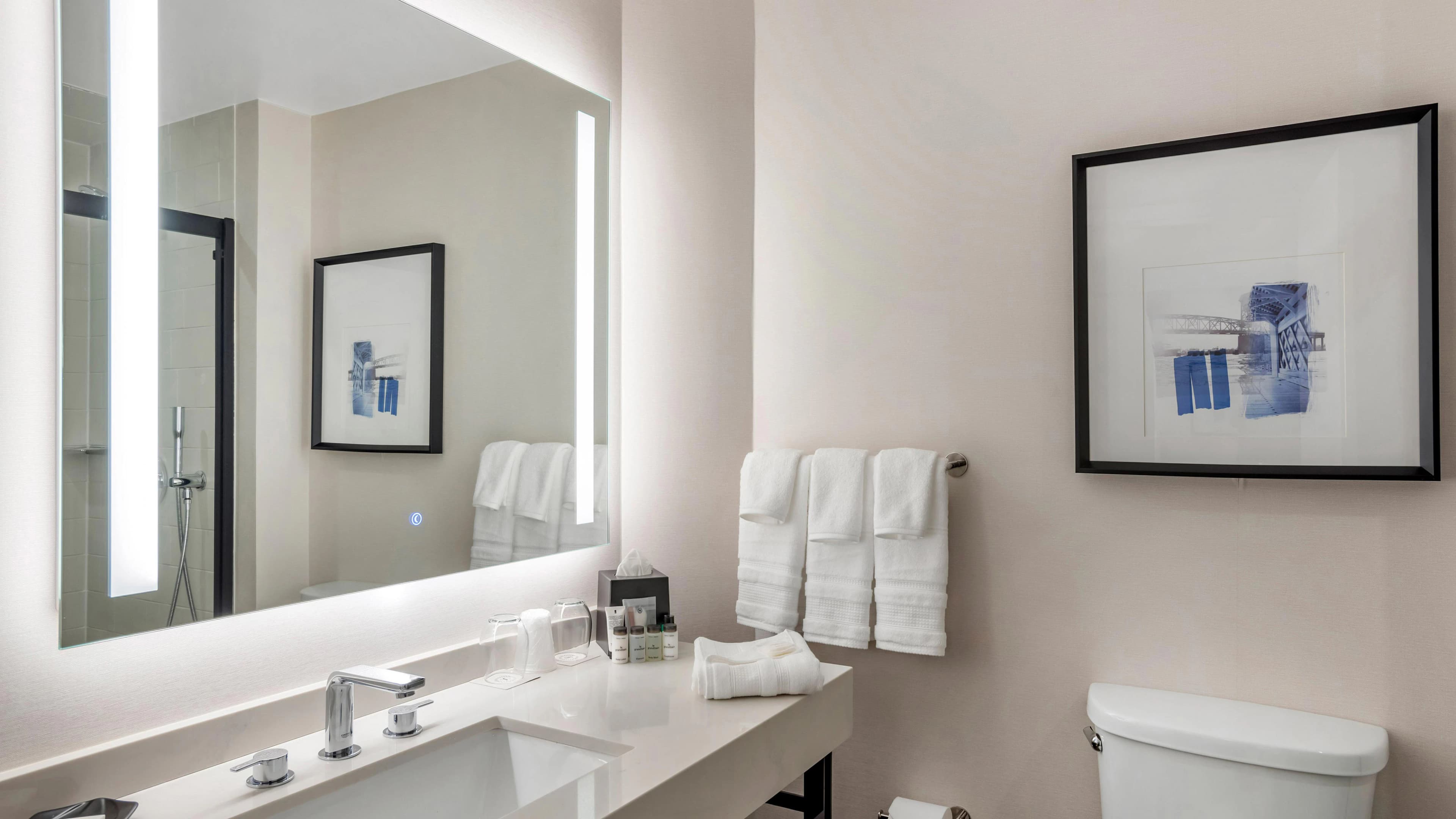 1 Bedroom Suite - Image 5