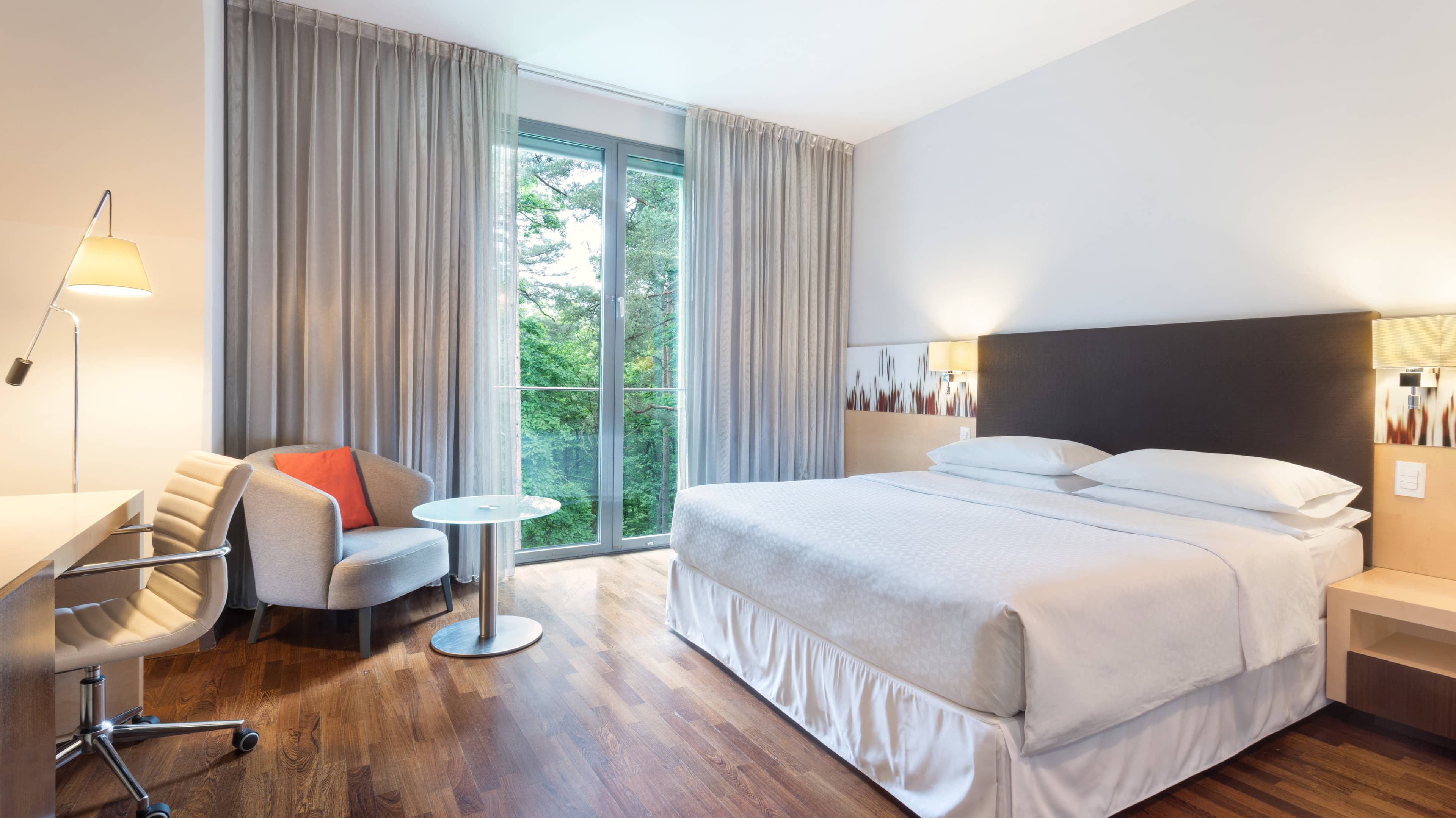 Deluxe Guest room - Image 1