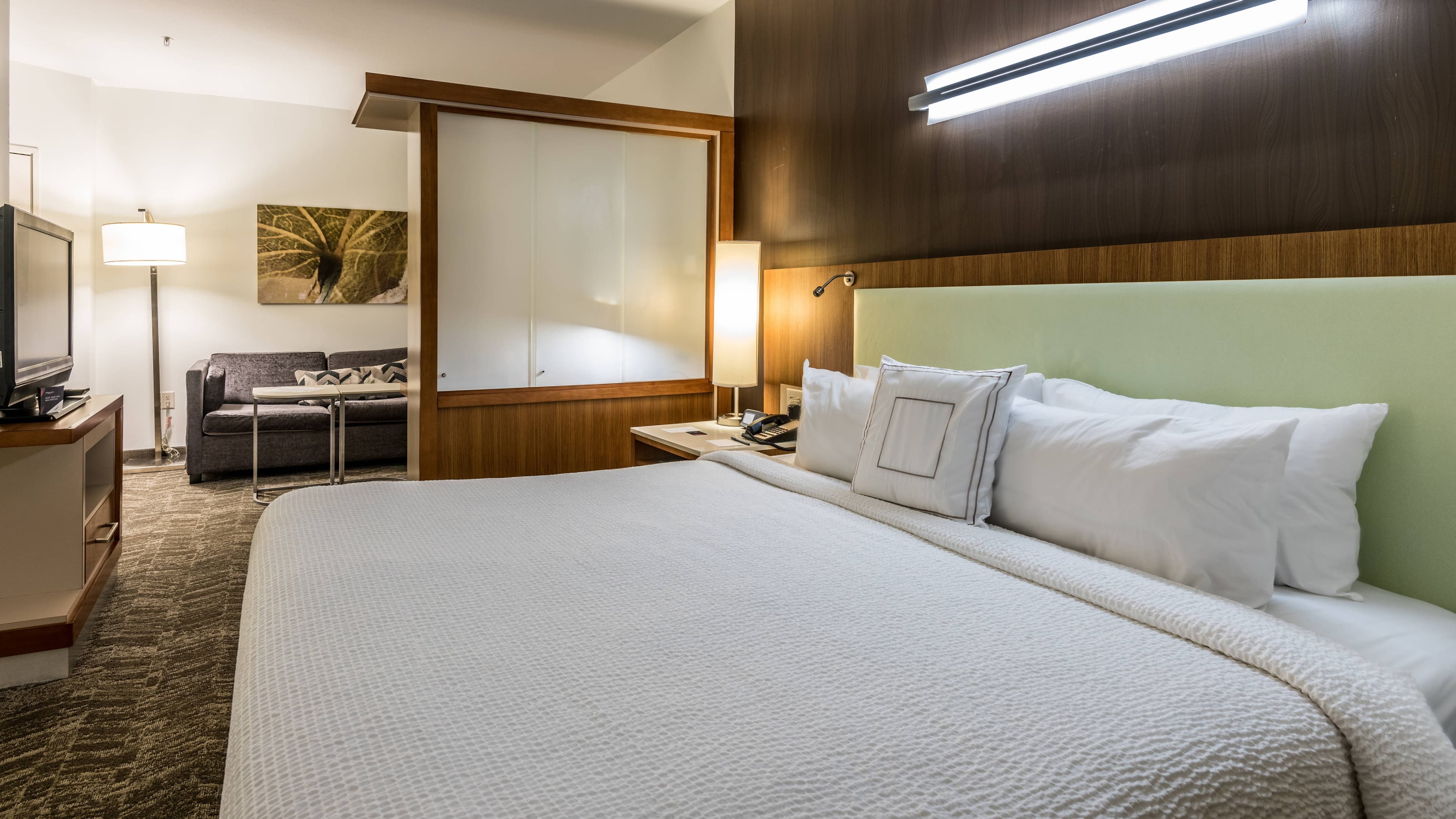 SpringHill Suites Statesboro University Area - Image 3