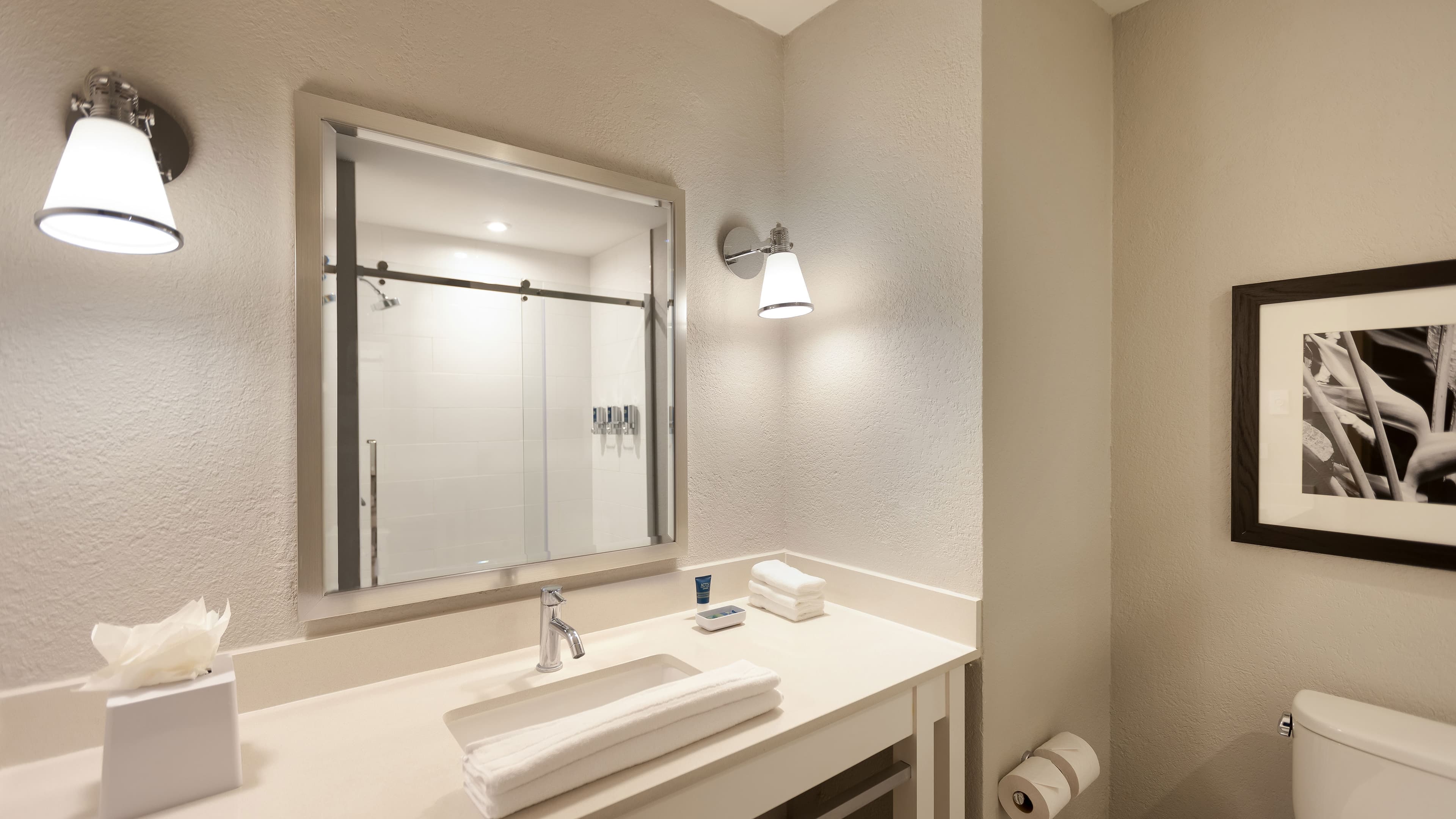 Standard - Image 6