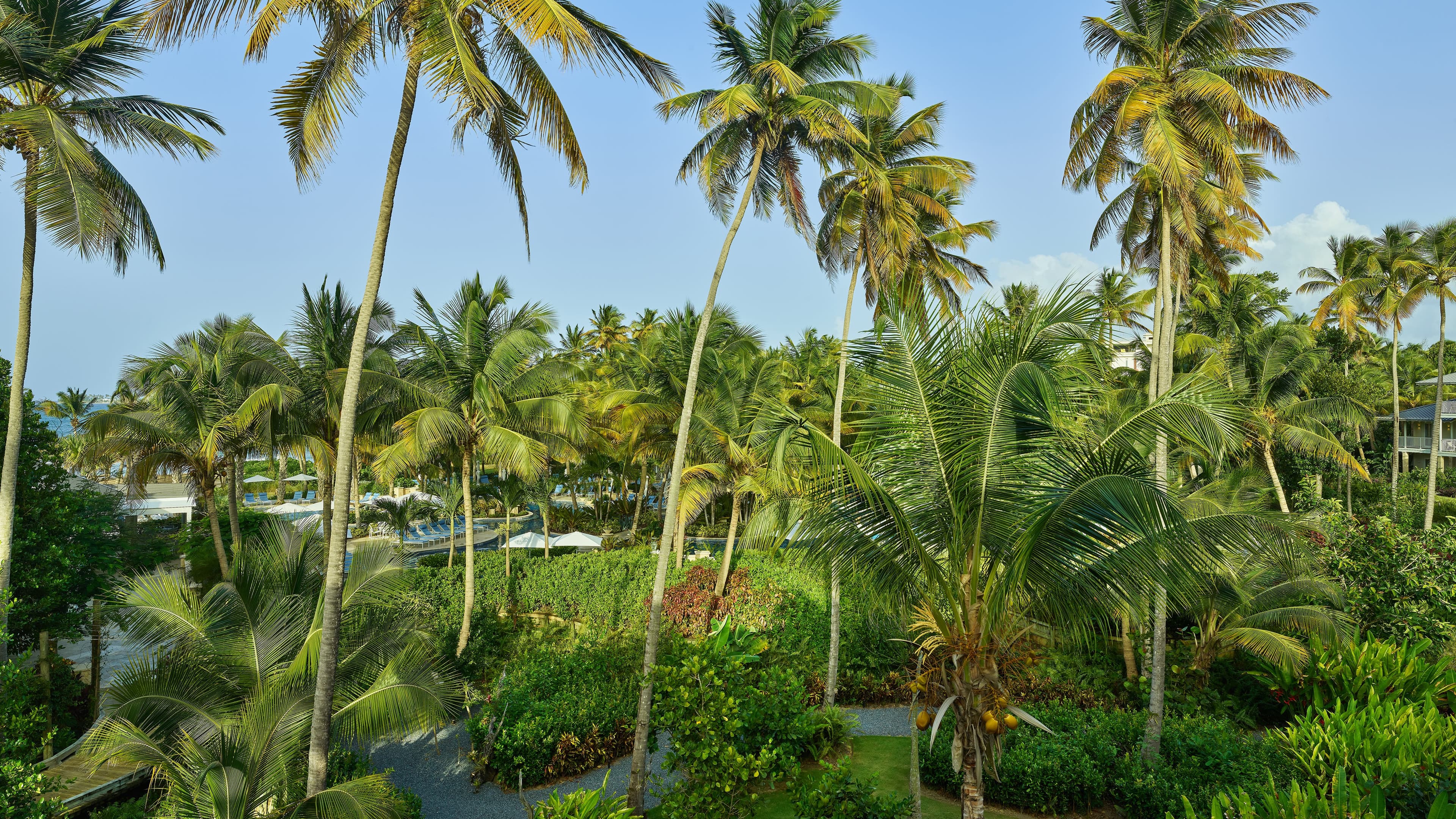 The St. Regis Bahia Beach Resort, Puerto Rico - Image 3