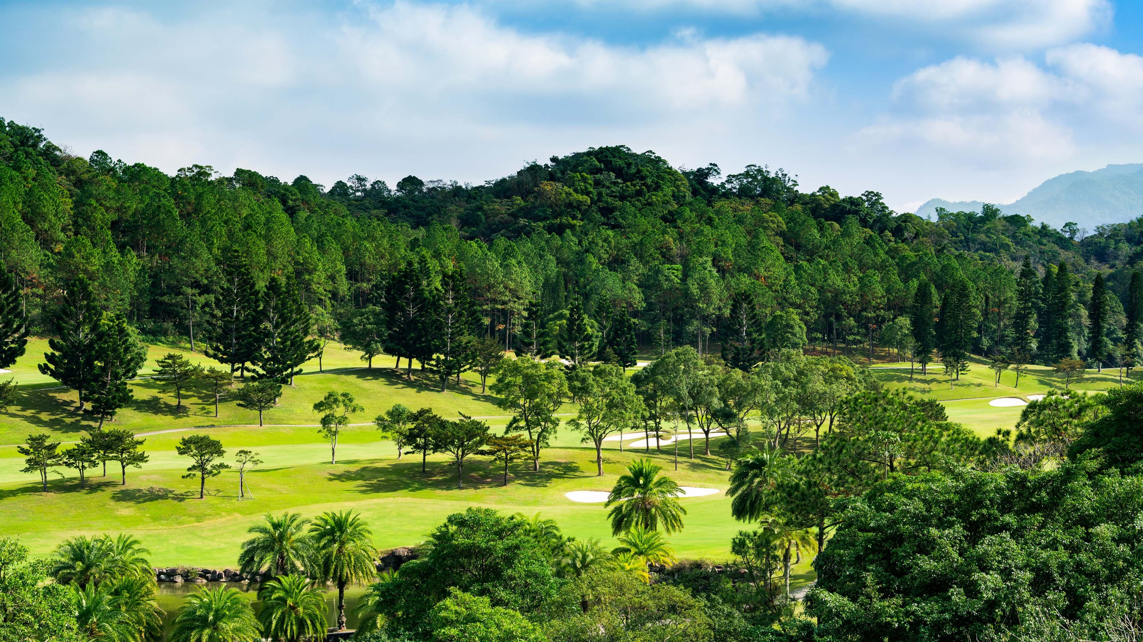 Guest room - Image 3