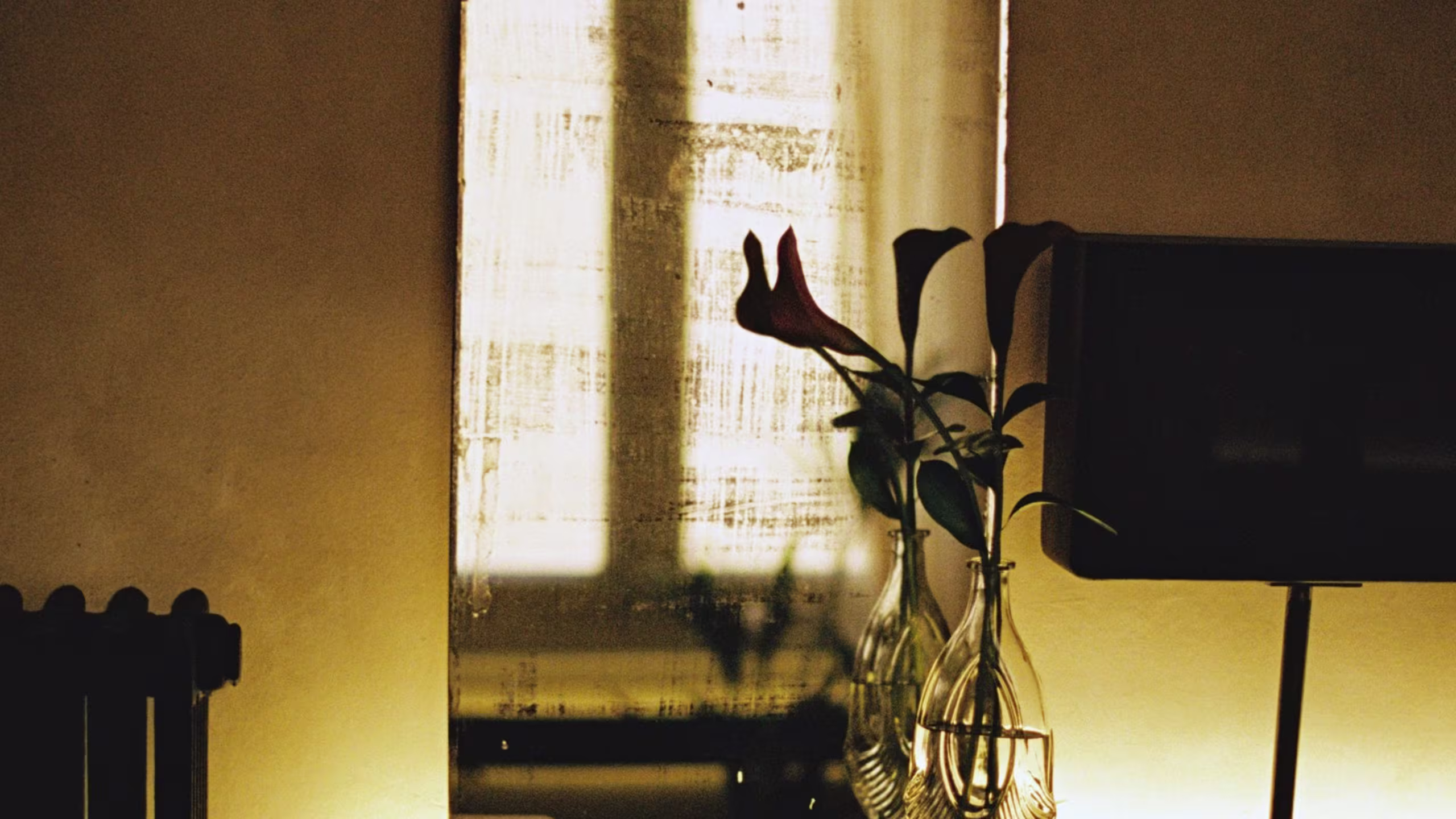 The Dreamers - Image 2