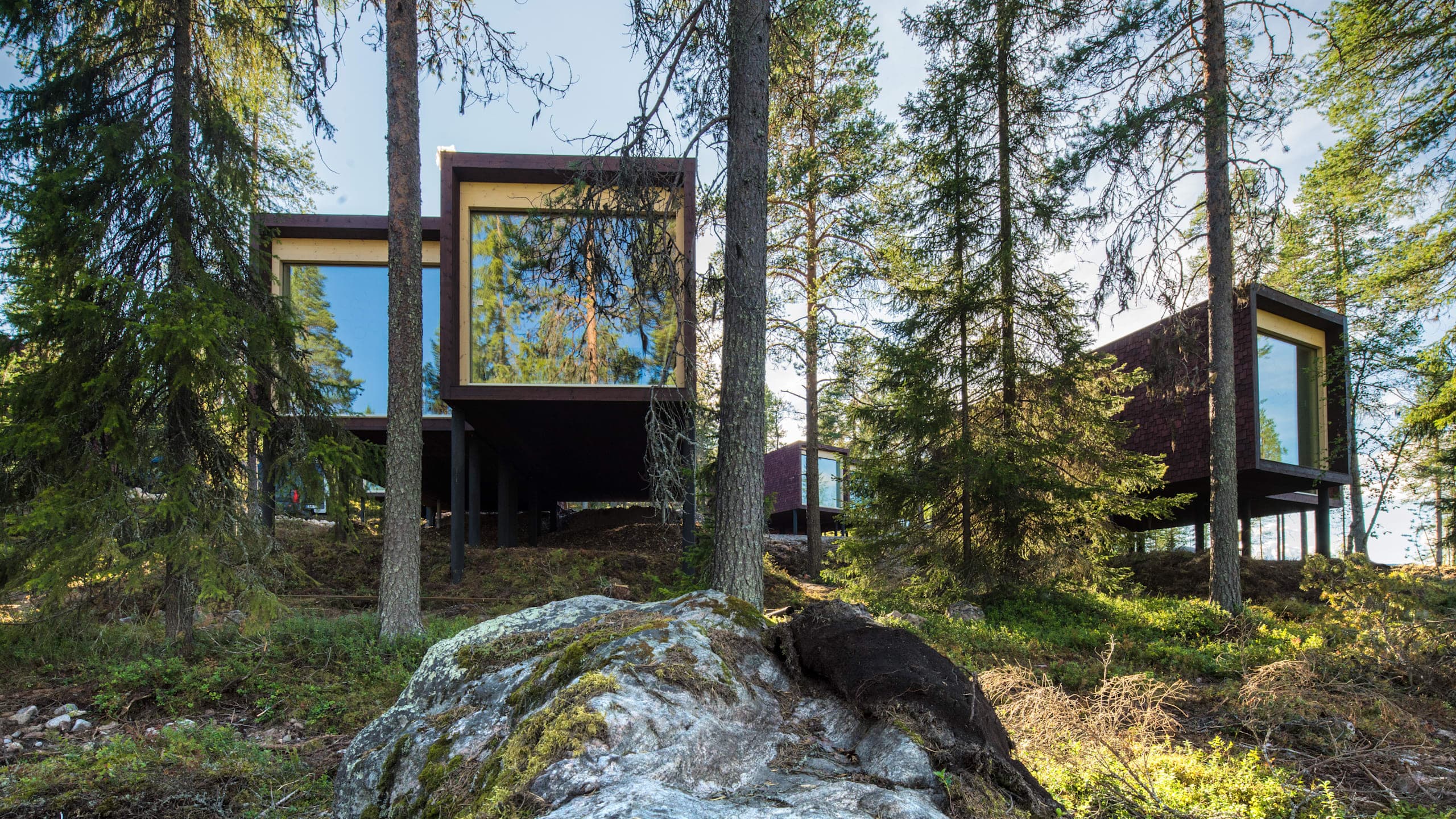 Arctic TreeHouse Suite Twin with Kitchenette, Nest-like Bed and View - Image 2