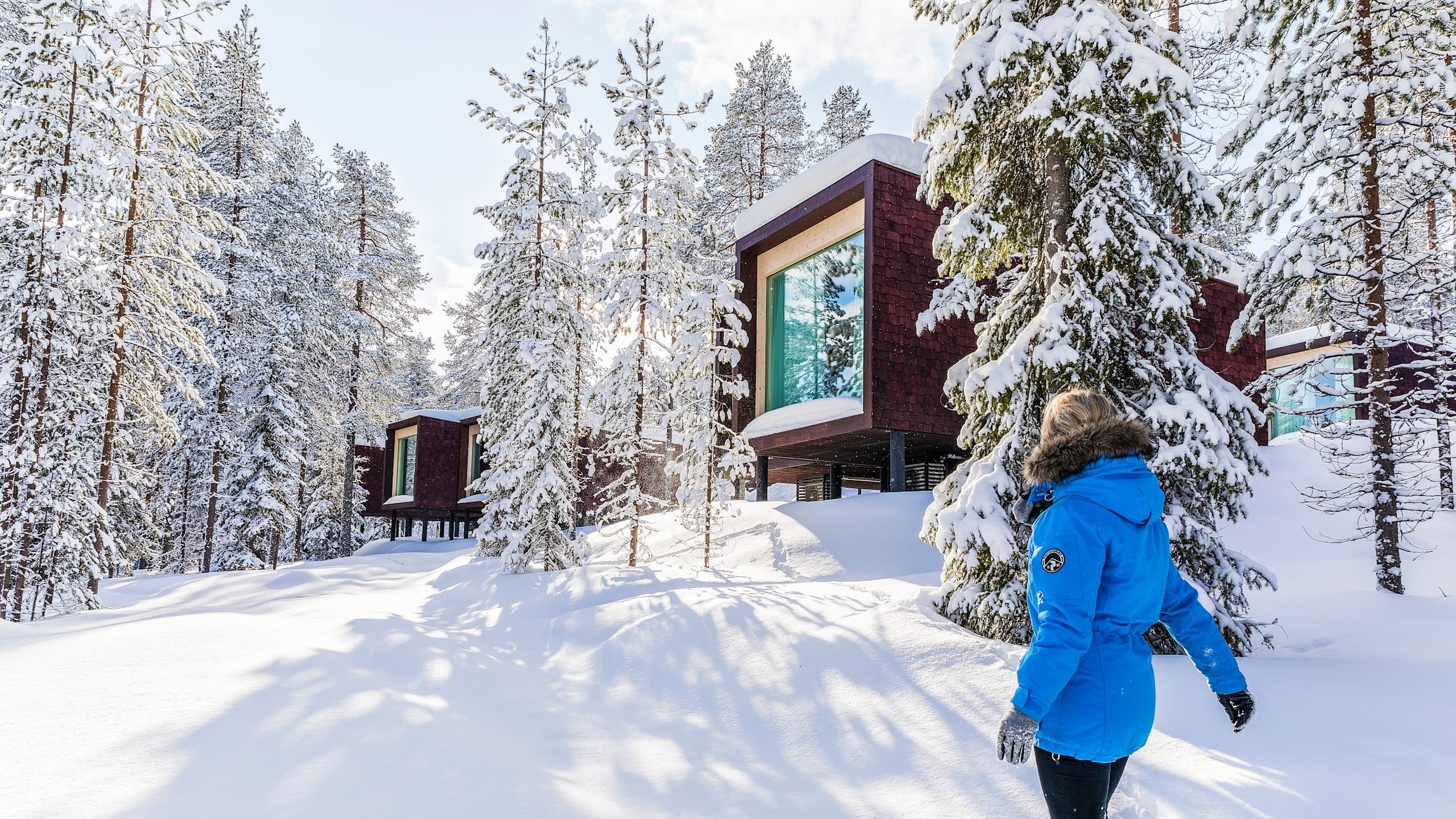 Arctic TreeHouse Suite Twin with Nest-like Bed - Image 3