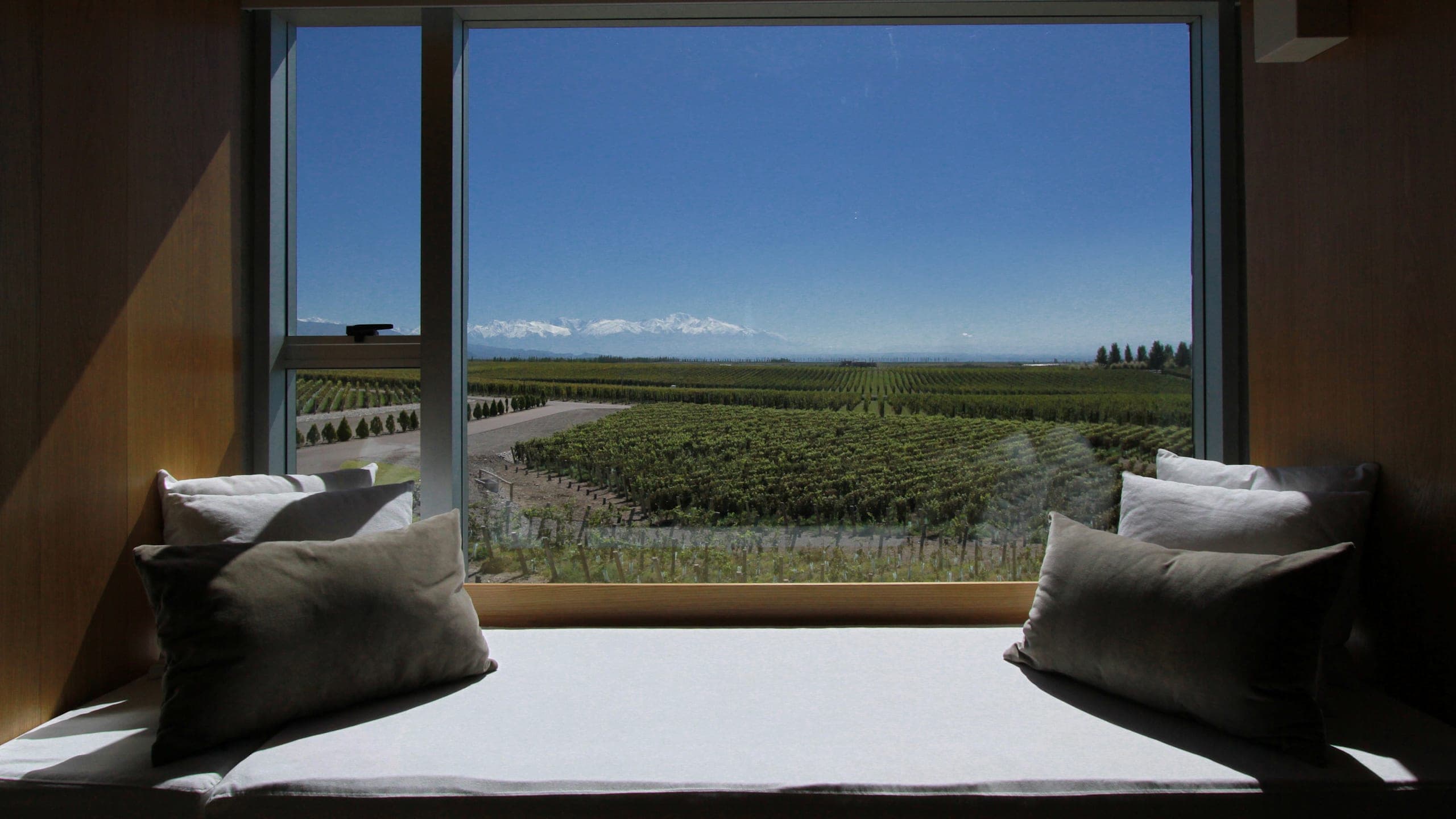 Casa de Uco - Image 5